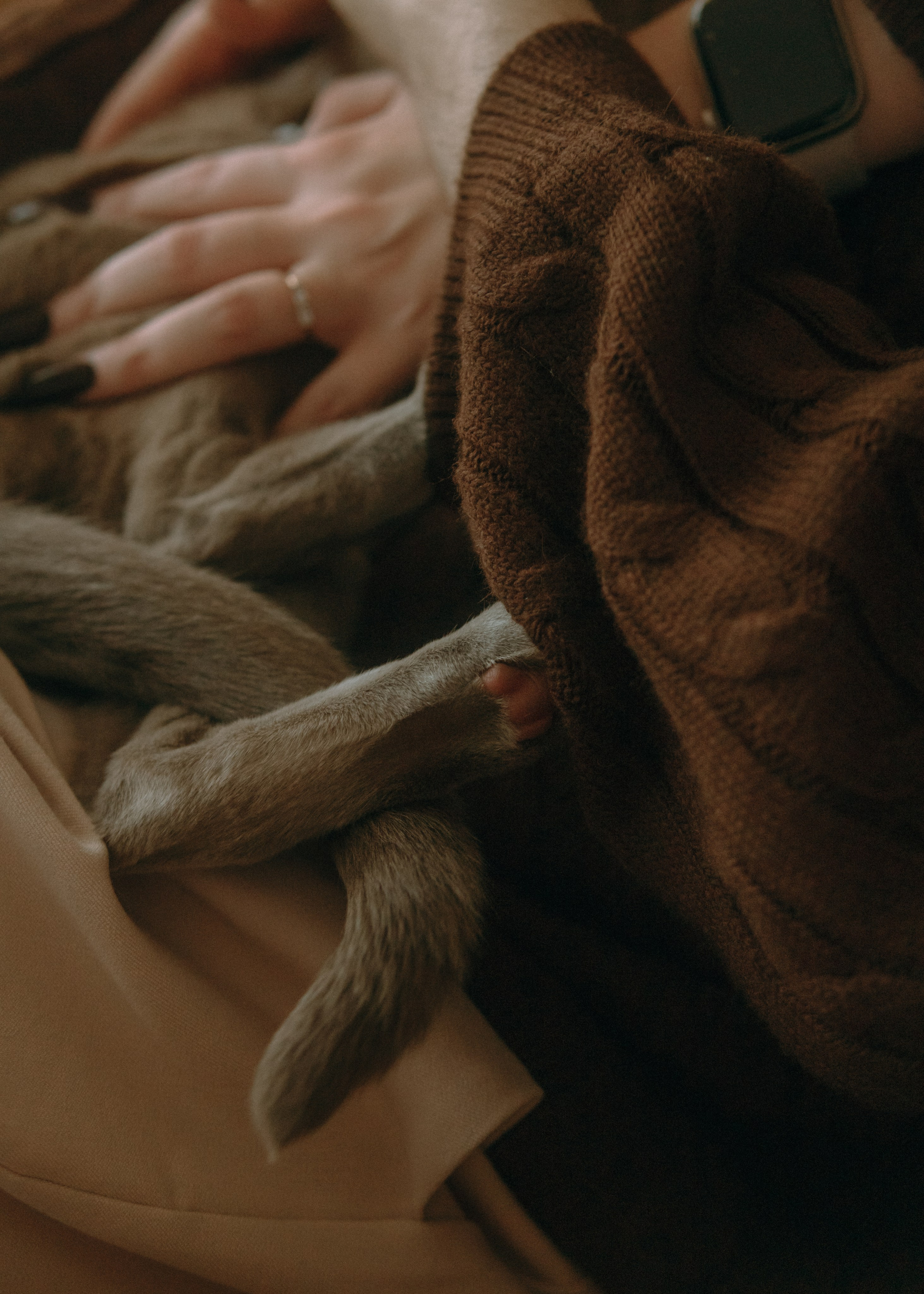 Амина, Булат и Орион. Фотограф-анималист Ксения Воробьева, Москва