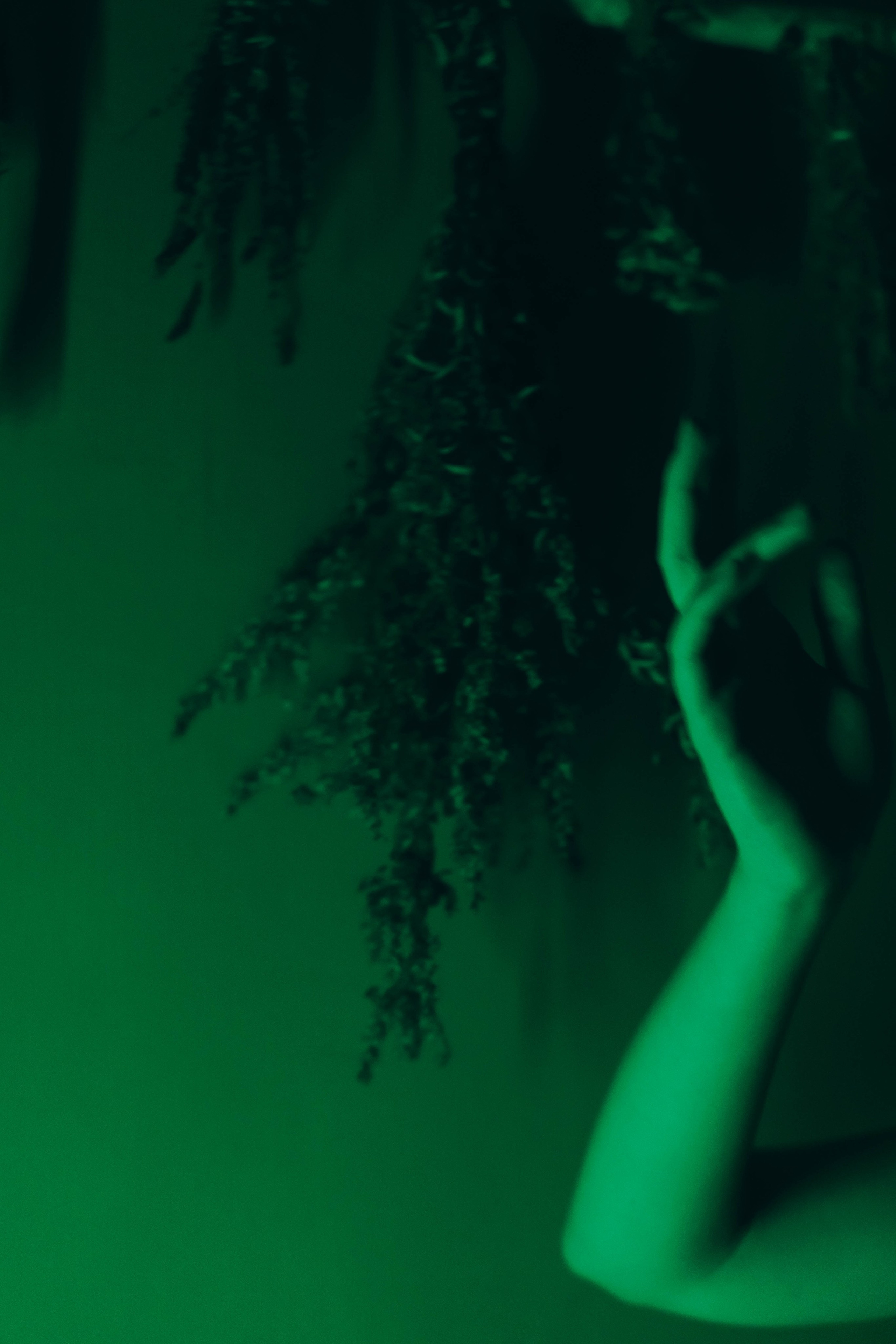 Милена. Фотограф-анималист Ксения Воробьева, Москва