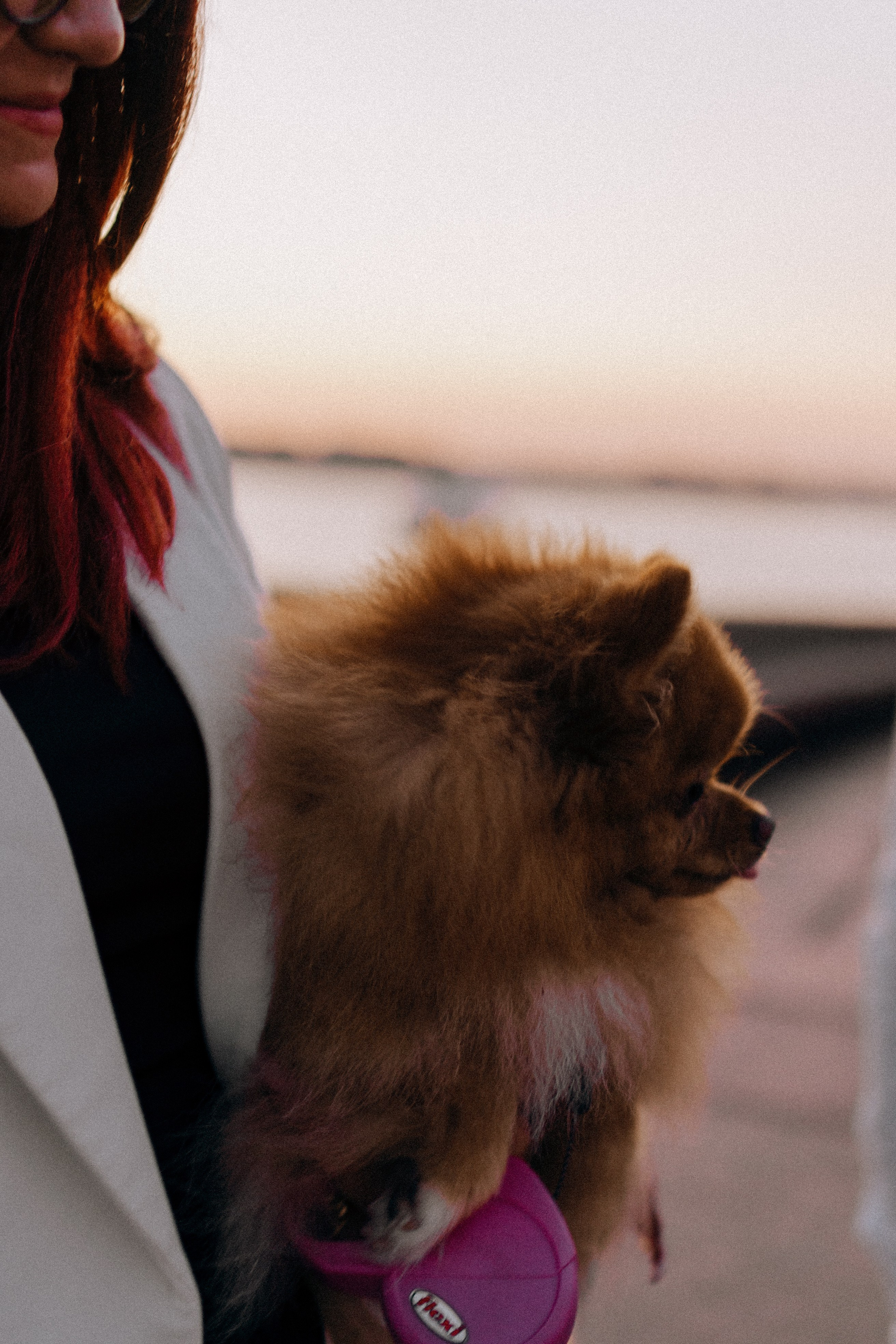 РАССВЕТНАЯ ИСТОРИЯ. Профессиональный фотограф, Санкт-Петербург — Виктория Богомолова