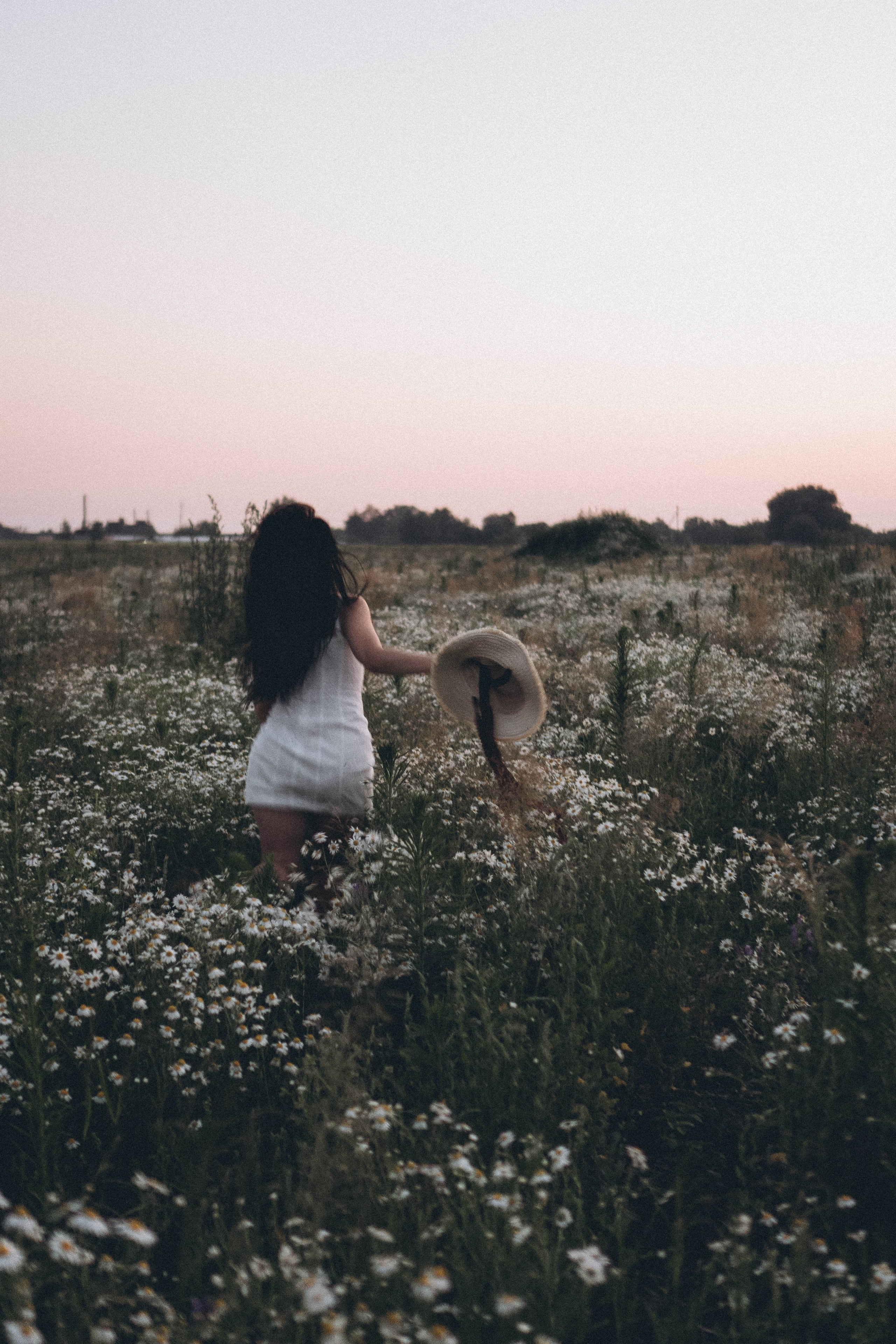 Ромашковое поле. Профессиональный фотограф, Санкт-Петербург — Виктория Богомолова