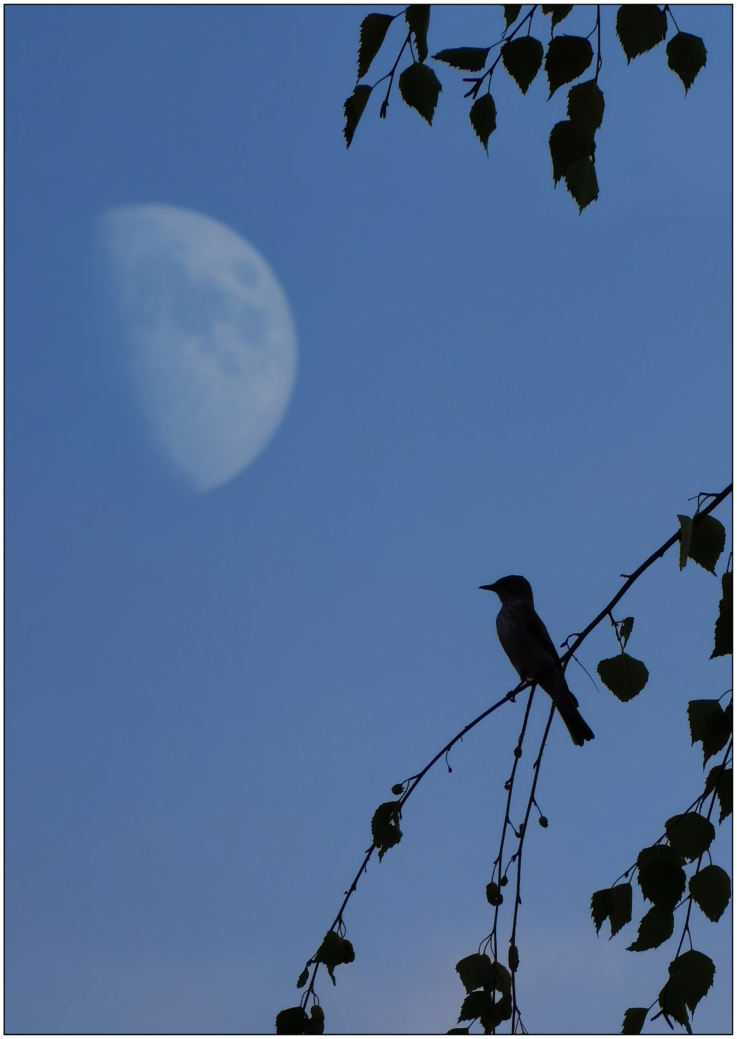 Стрит и пейзажи. Главная