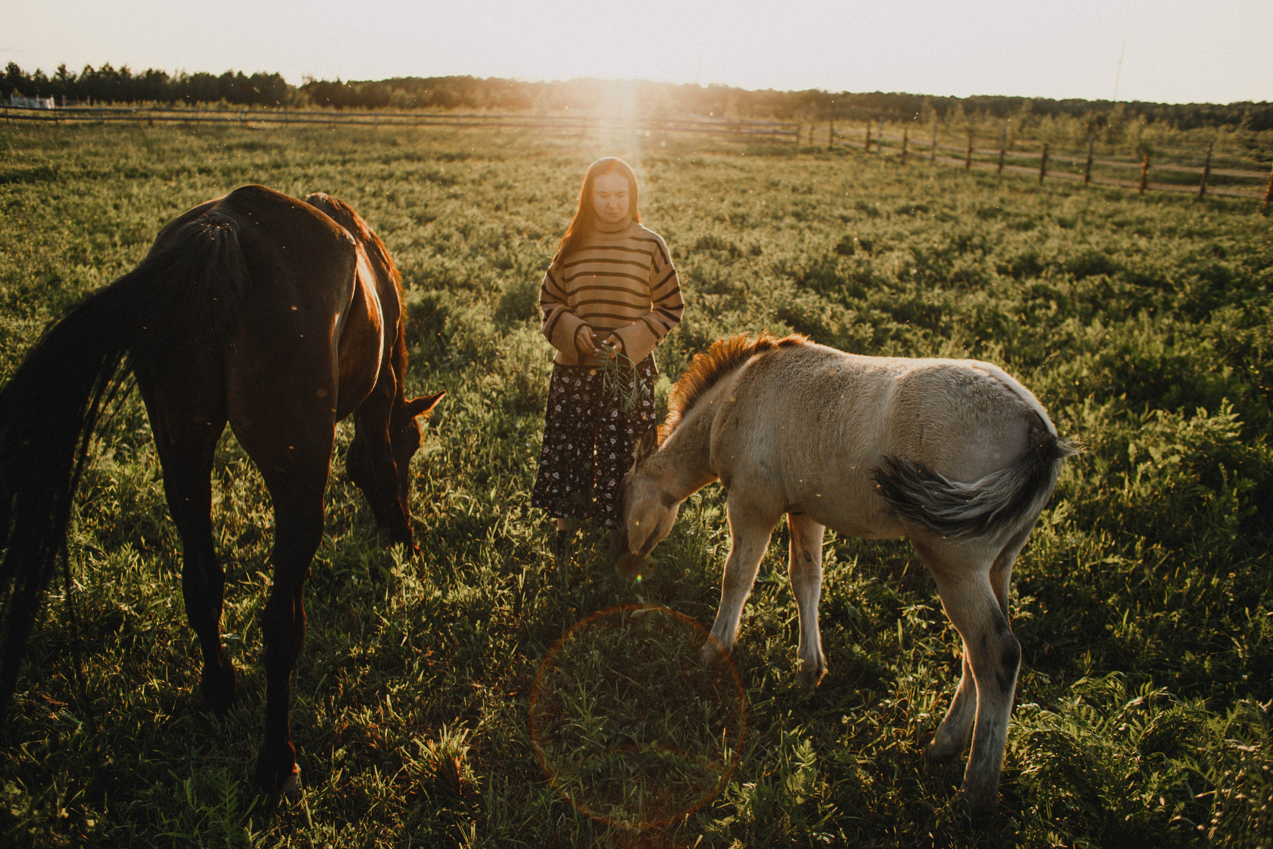 Варвара. Лошади. Закат. Фотограф в Нижнем Новгороде