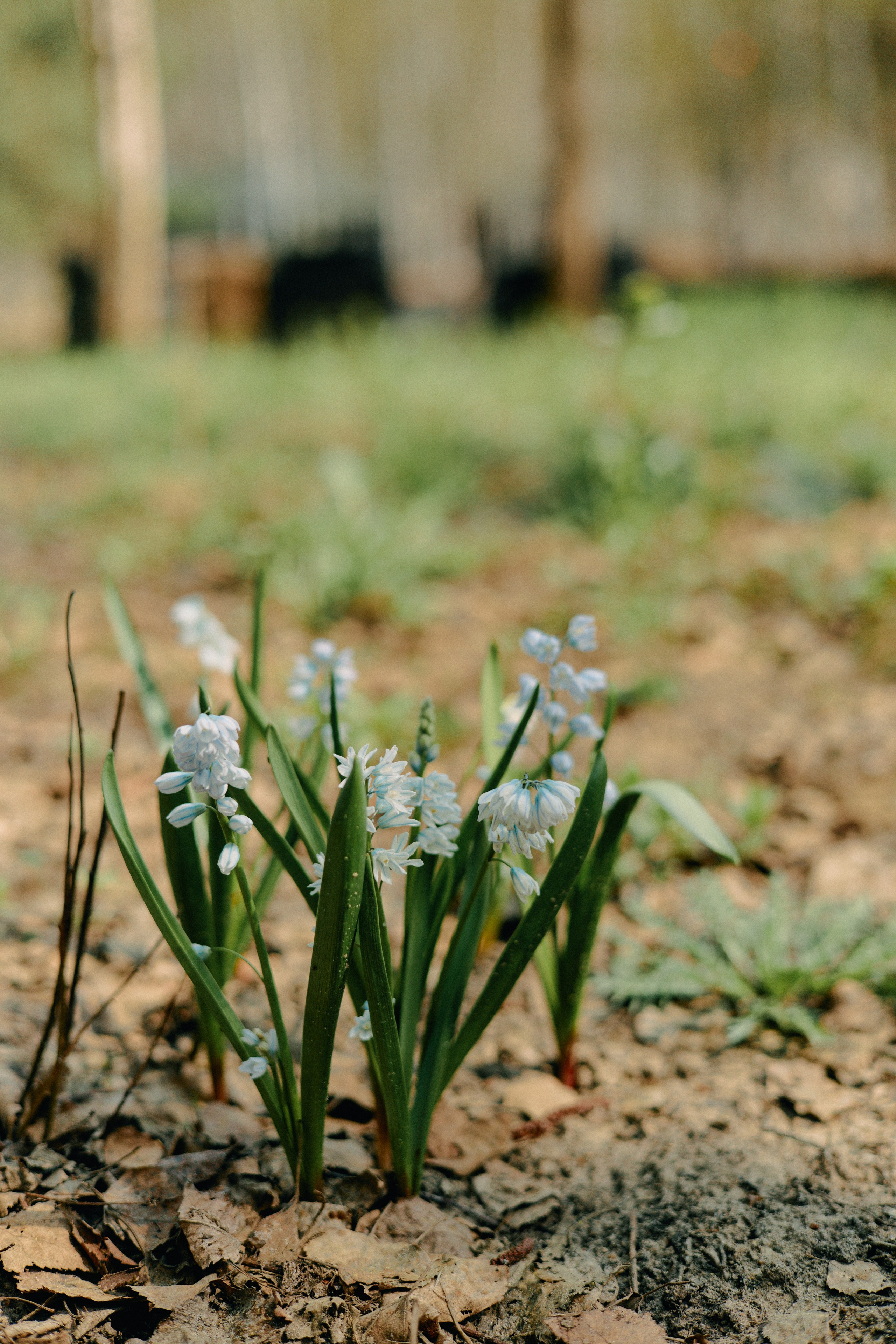 Бутик-отель Поле летом. Профессиональный Фотограф во Владимире, в Москве и в Суздале — Полина Романычева
