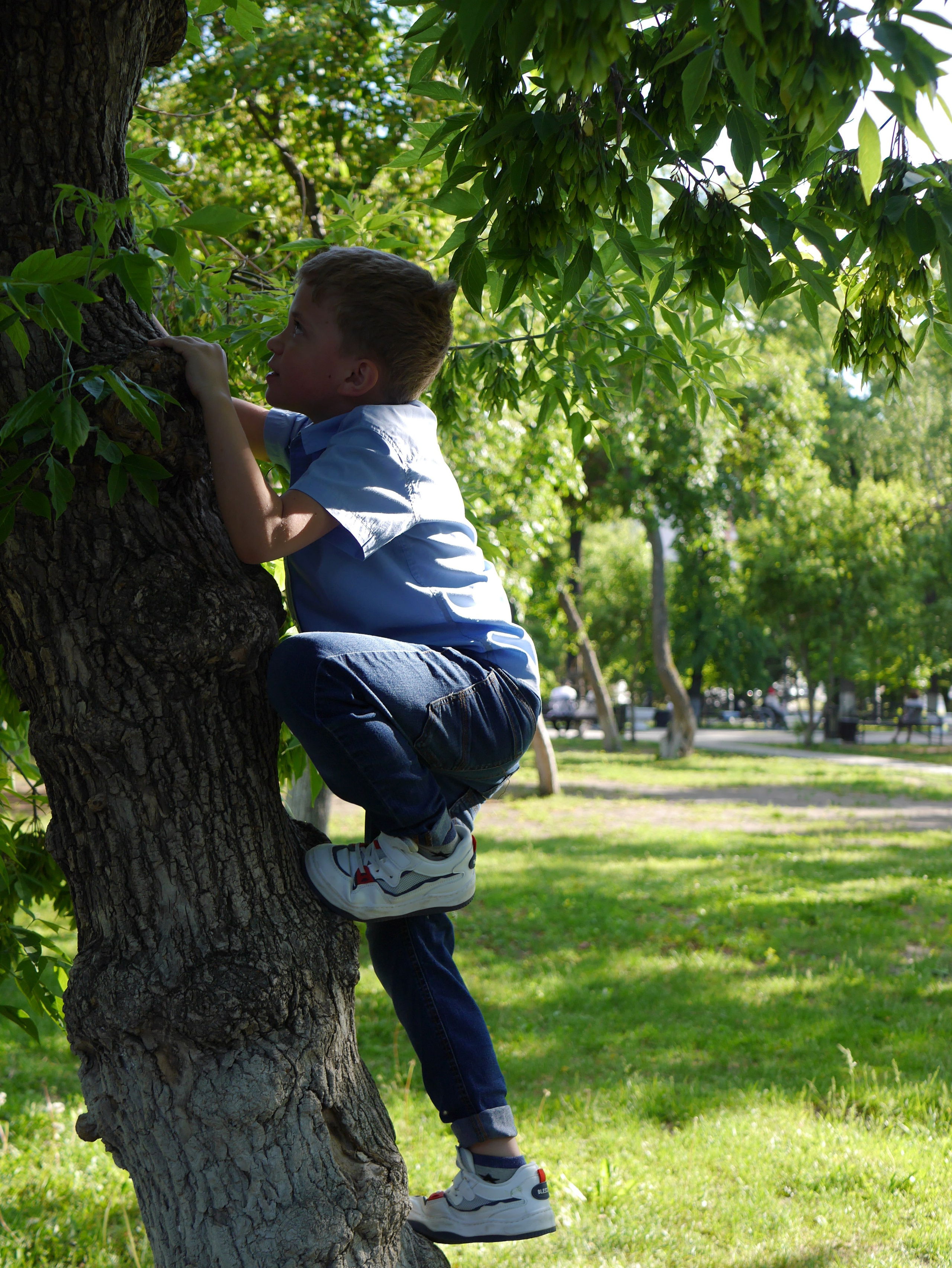 Дети в кадре