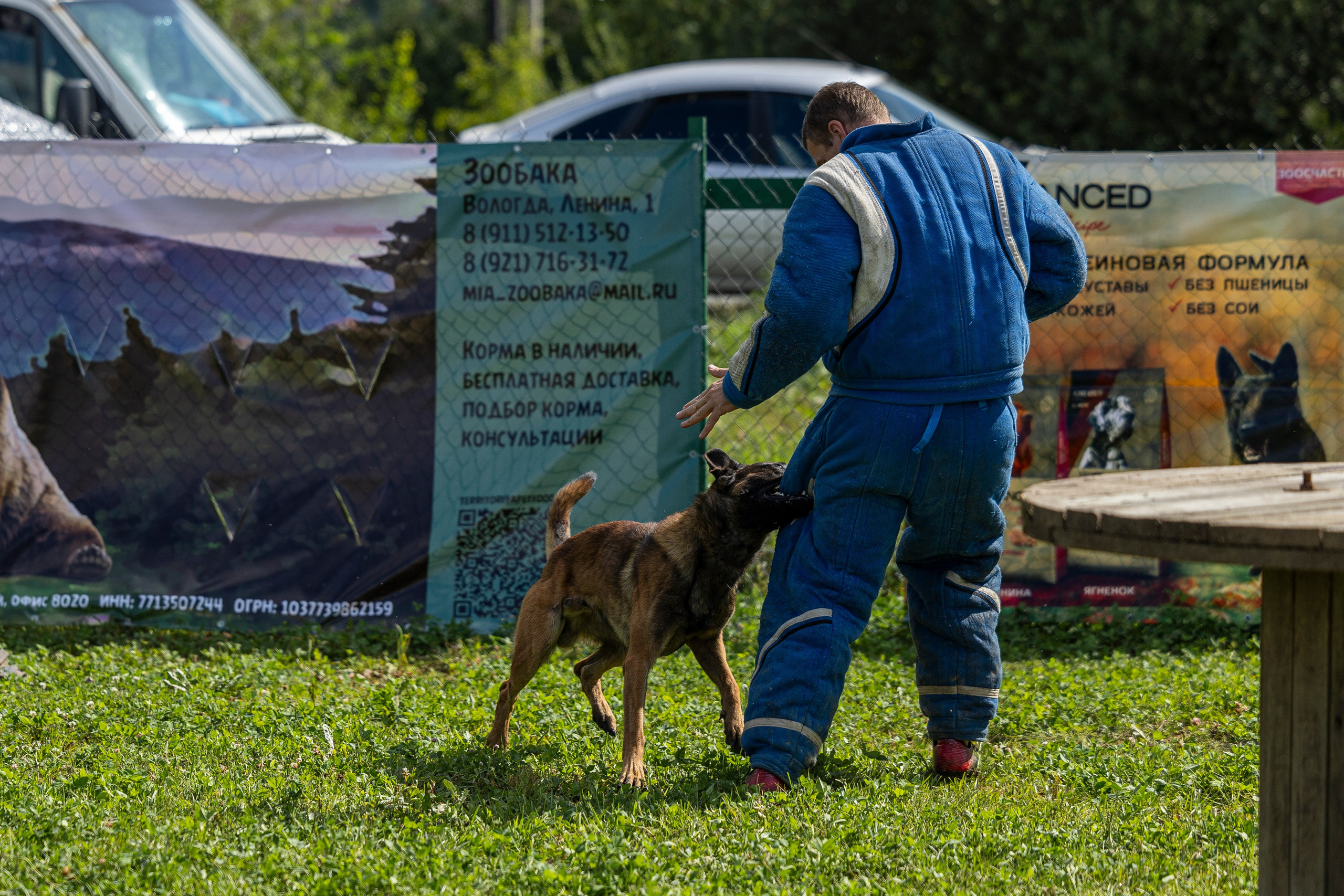 Соревнования по Мондьорингу г. Вологда 10-11.08.2024. Фотограф-анималист Анна Маринич