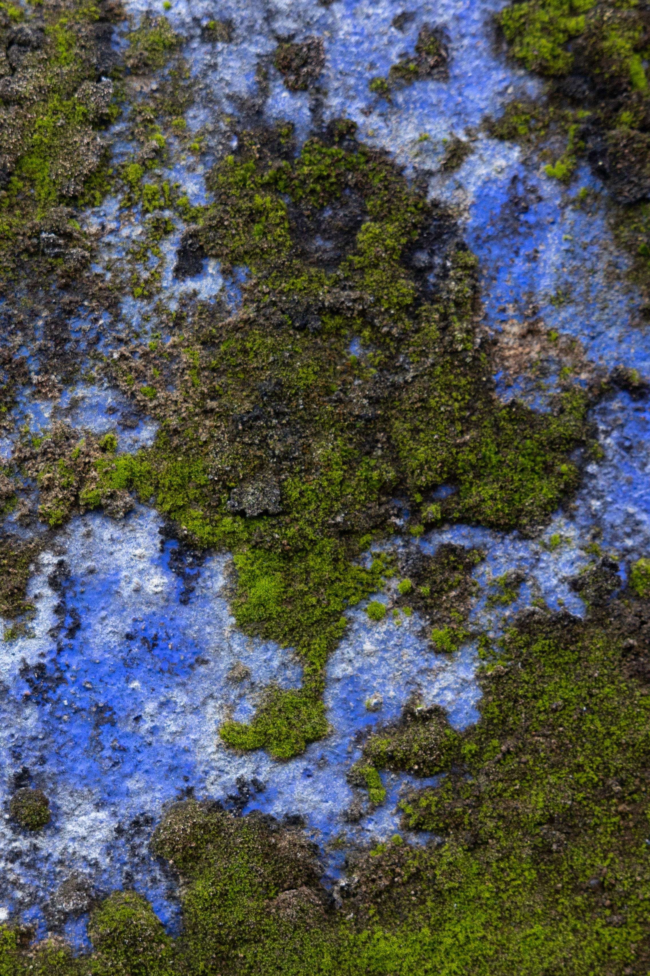 Art prints. Фотограф алина стерхова, алина стерхова фотограф, фотограф москва