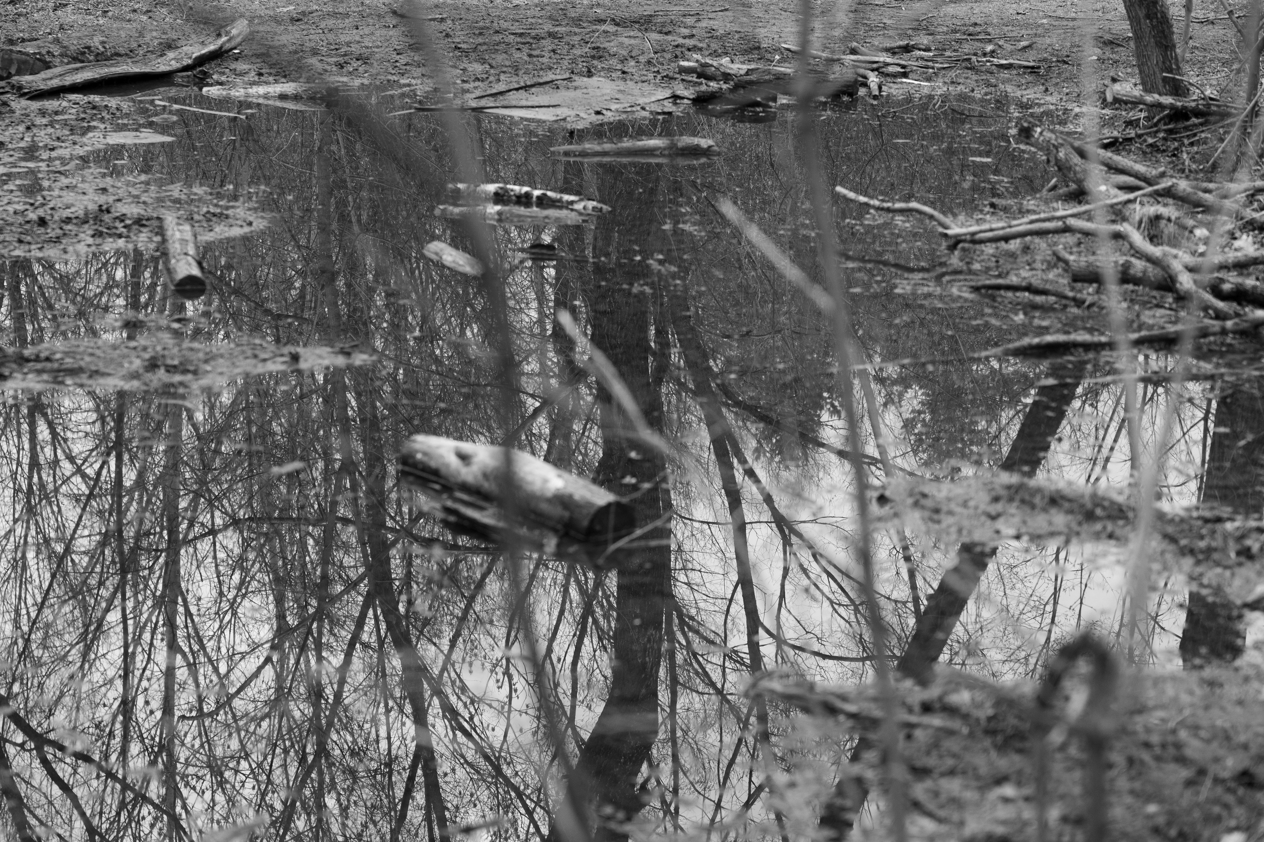 Art prints. Фотограф алина стерхова, алина стерхова фотограф, фотограф москва