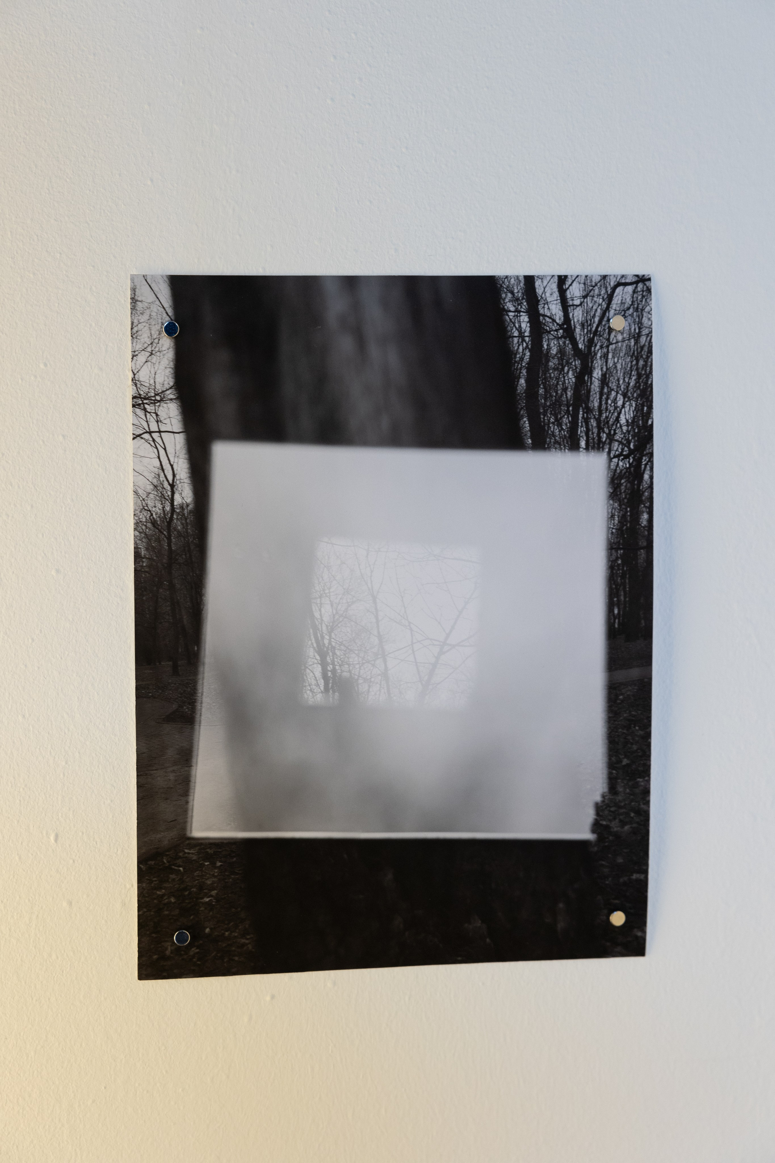 Personal exhibition Interior landscape 2025. Фотограф алина стерхова, алина стерхова фотограф, фотограф москва