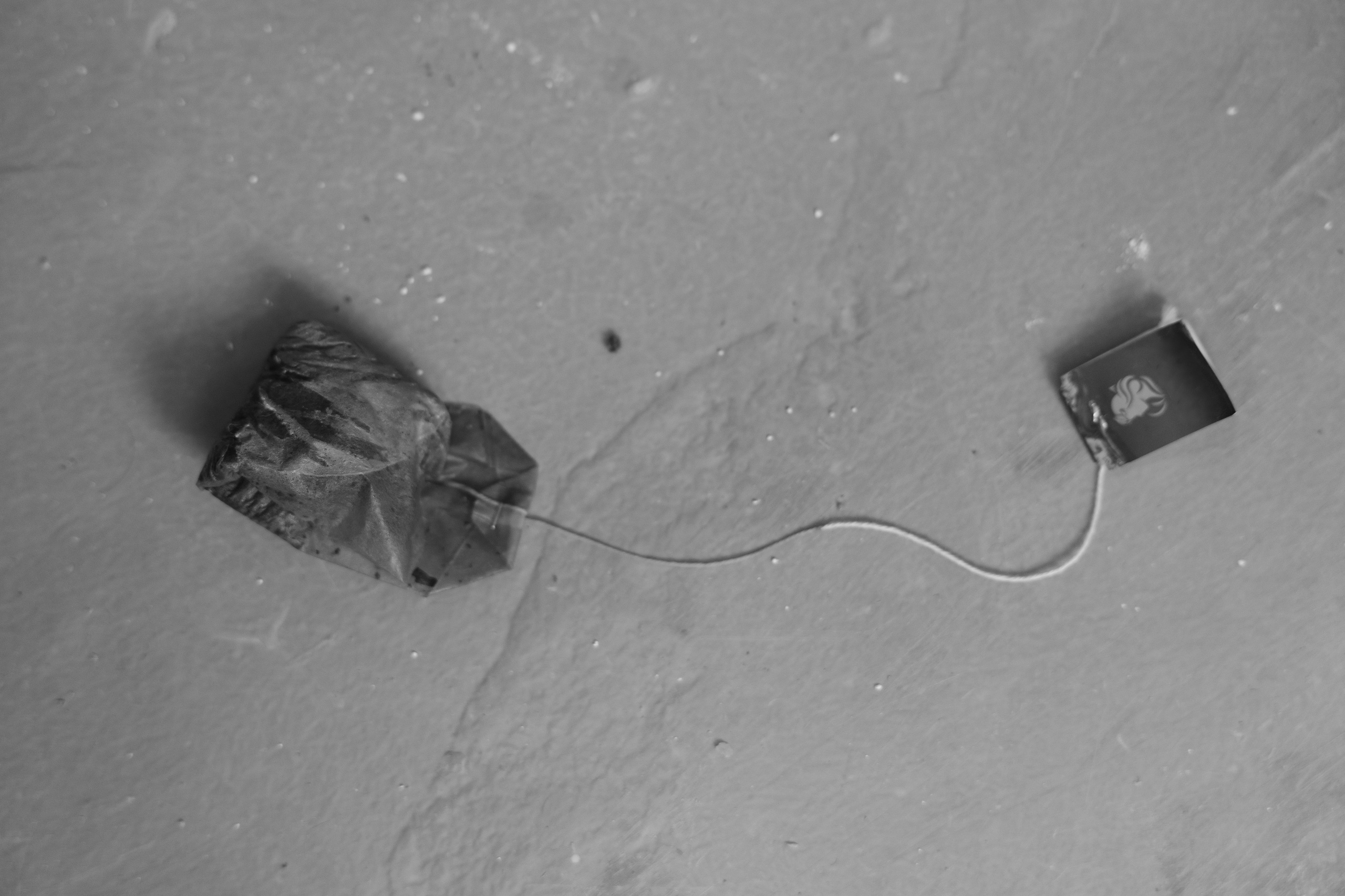 Art prints. Фотограф алина стерхова, алина стерхова фотограф, фотограф москва