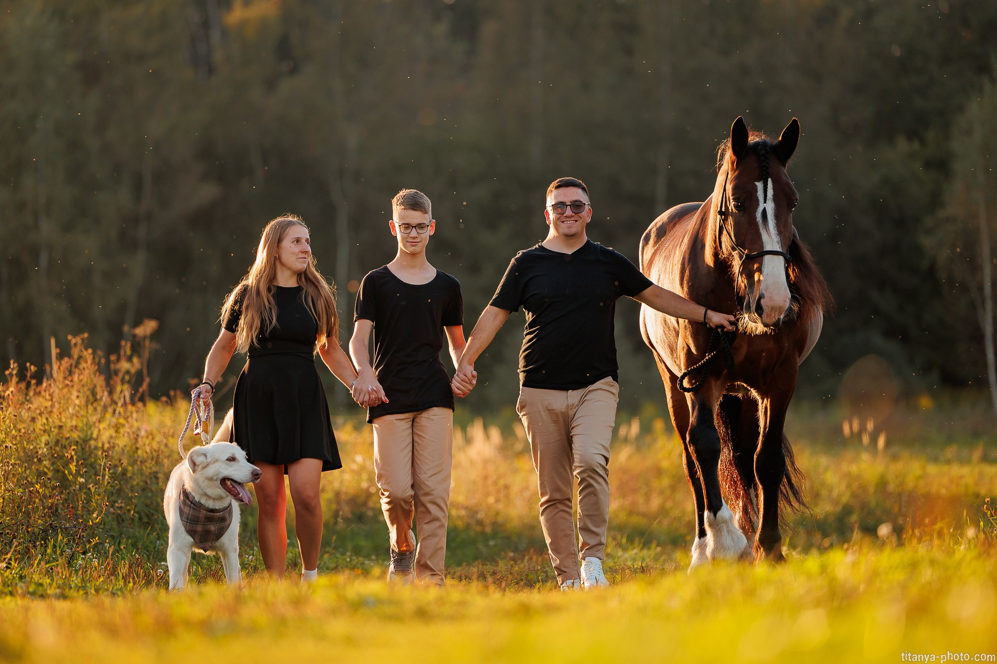 Закатная семейная фотосессия: про Настю и её дружную семью. Фотограф собак, фотограф-анималист Аня Титова (Titanya). Москва