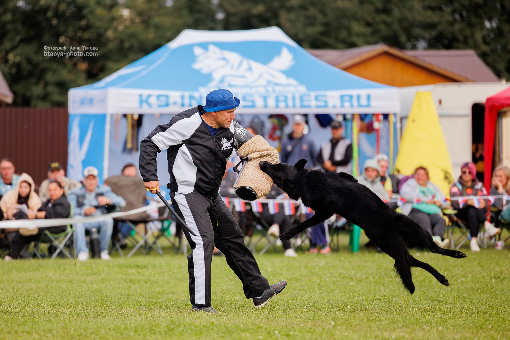 Немецкие овчарки: фото из рингов и вне ринга, мутпроба (фотографии с выставок). Фотограф собак, фотограф-анималист Аня Титова (Titanya). Москва