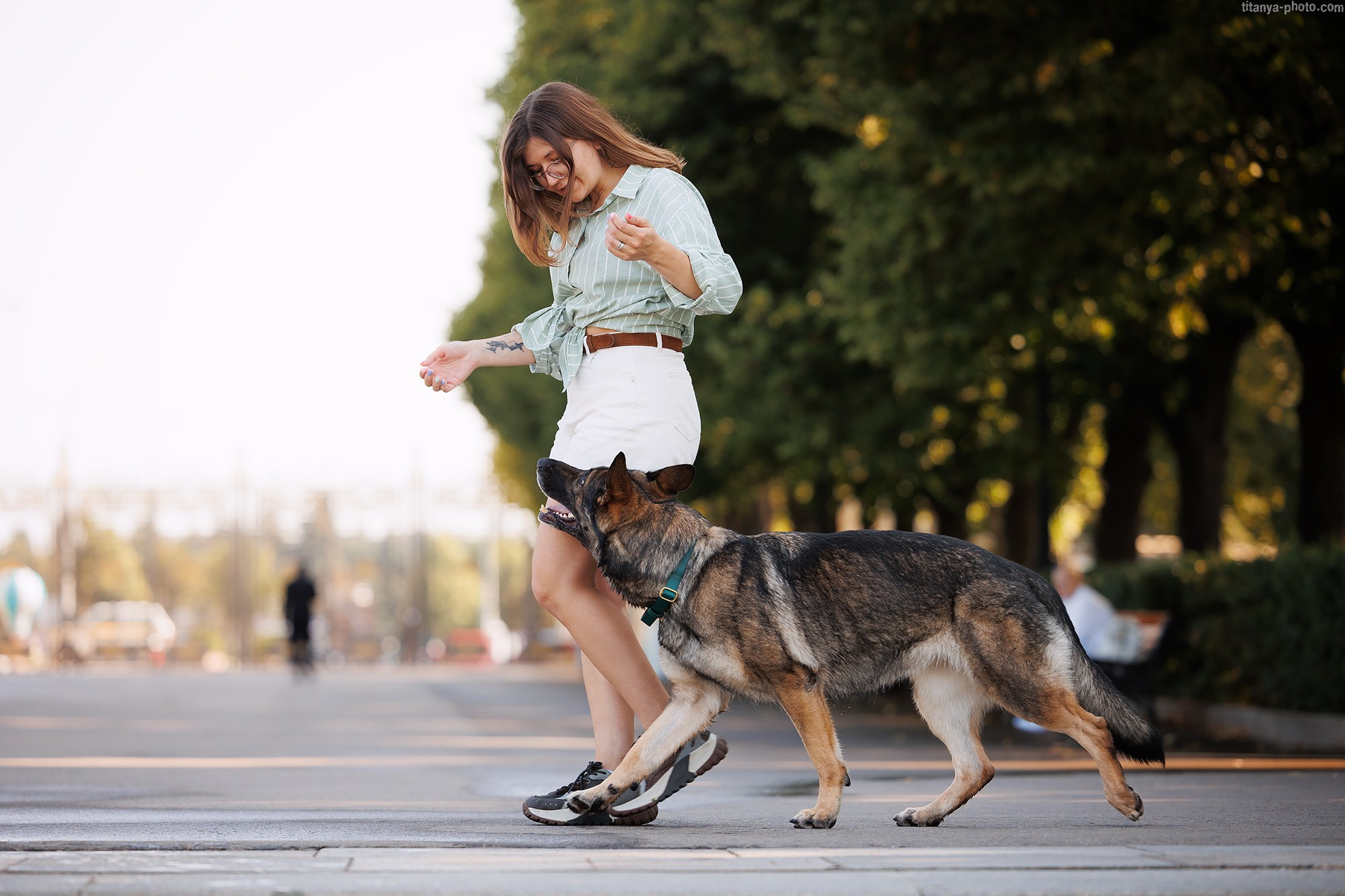 Маша и Харпи. Фотограф собак, фотограф-анималист Аня Титова (Titanya). Москва