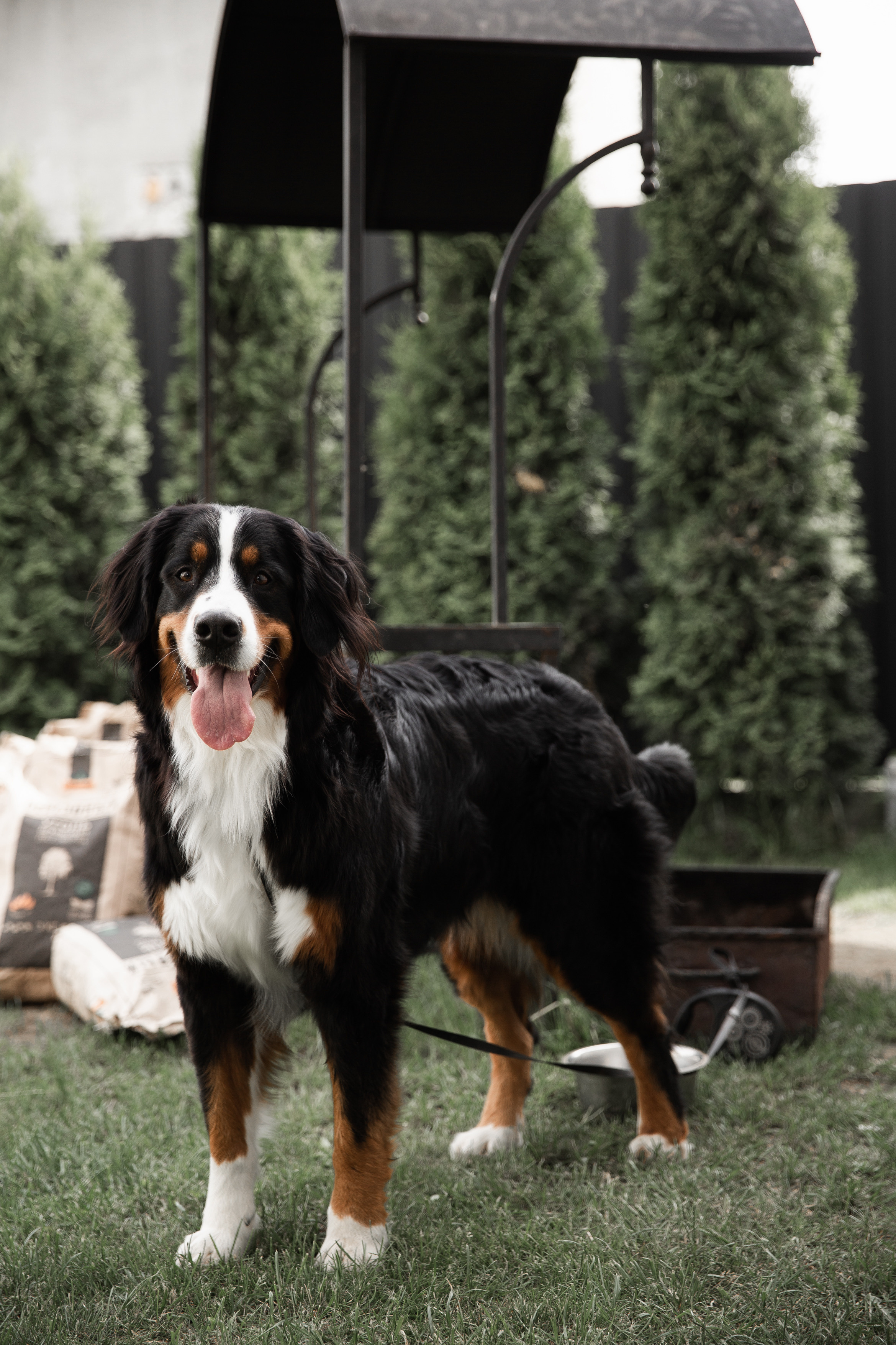 Ирина & Николай. Свадебный фотограф в Минске в Москве в РБ Анатолий Полишко