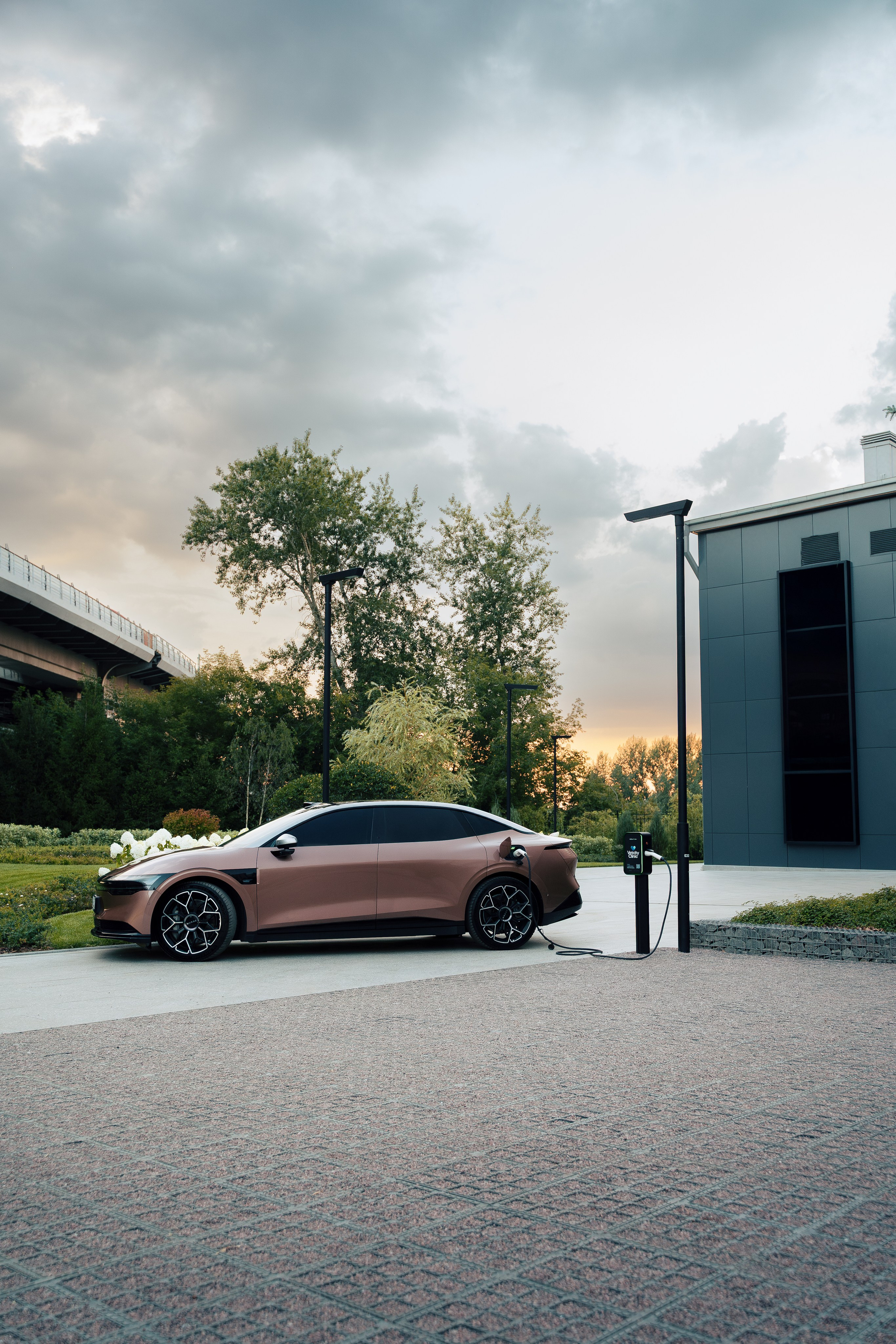 Edison Solo х Vetcity Clinic. Профессиональный фотограф и оператор в Москве — Максим Проценко