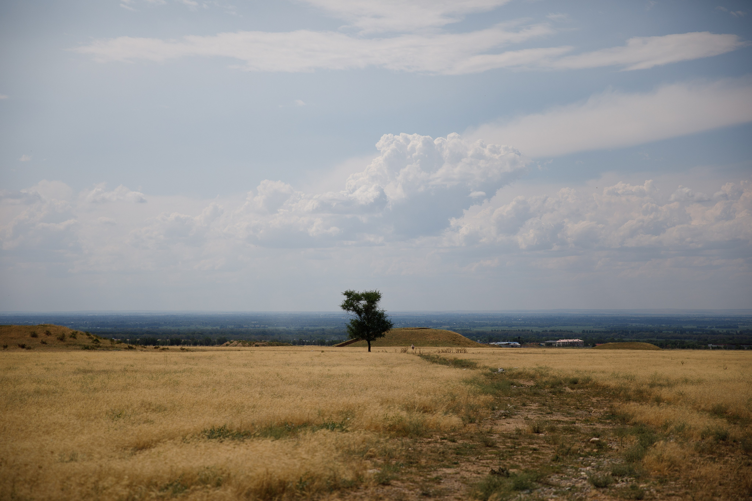 Казахстан / июль 2024. Репортажный и портретный фотограф Русакова Жанна
