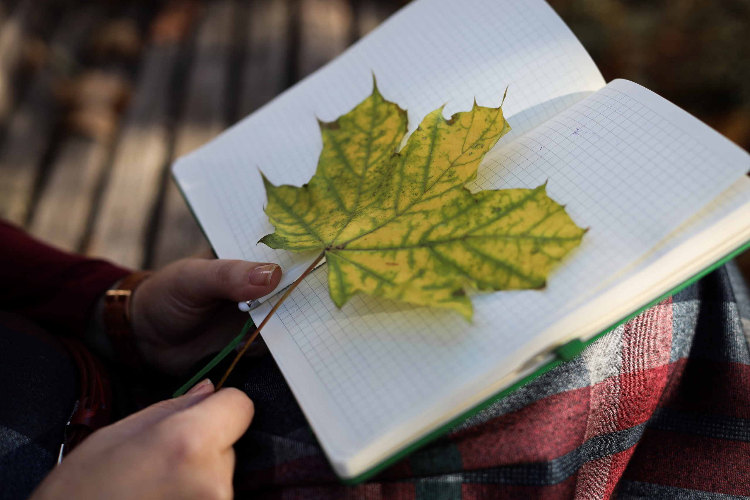 Женская съёмка в парке. Женский, детский, семейный фотограф в Краснодаре Юлия Избенко