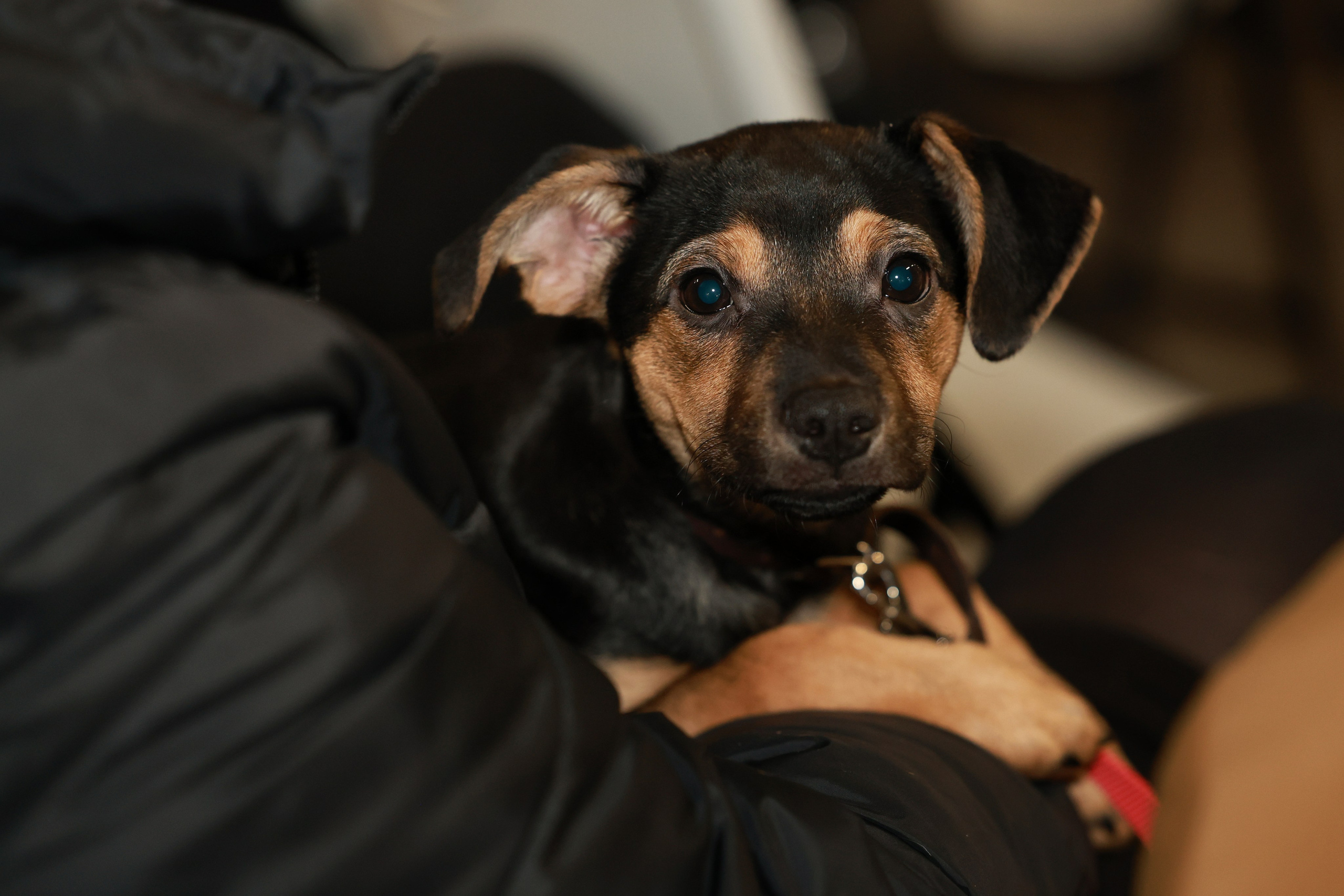 Бизнес сессия экологичность бизнеса. Фотограф в Туле — Борисов Николай