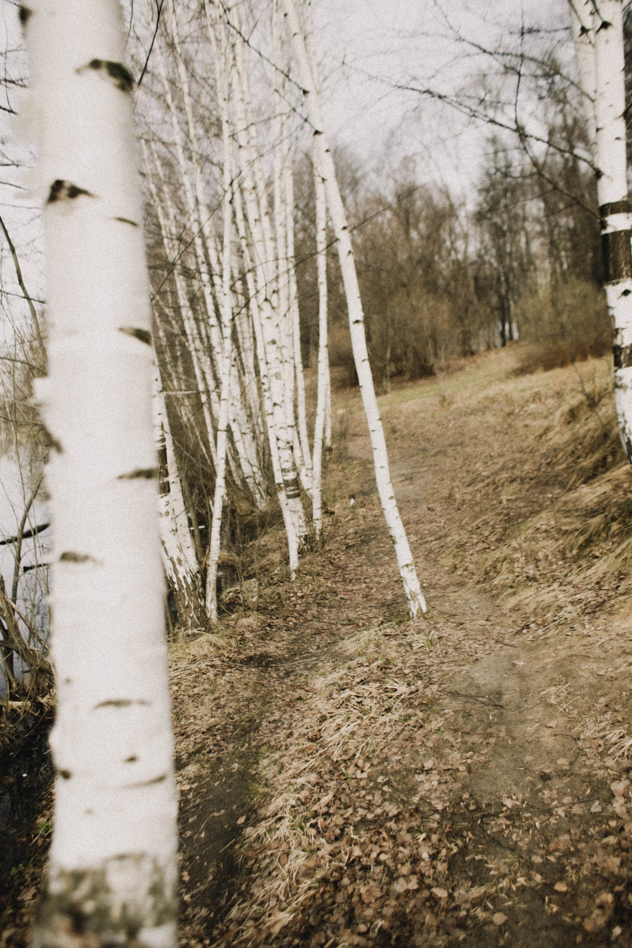 Юля Апрель. Фотограф в Нижнем Новгороде