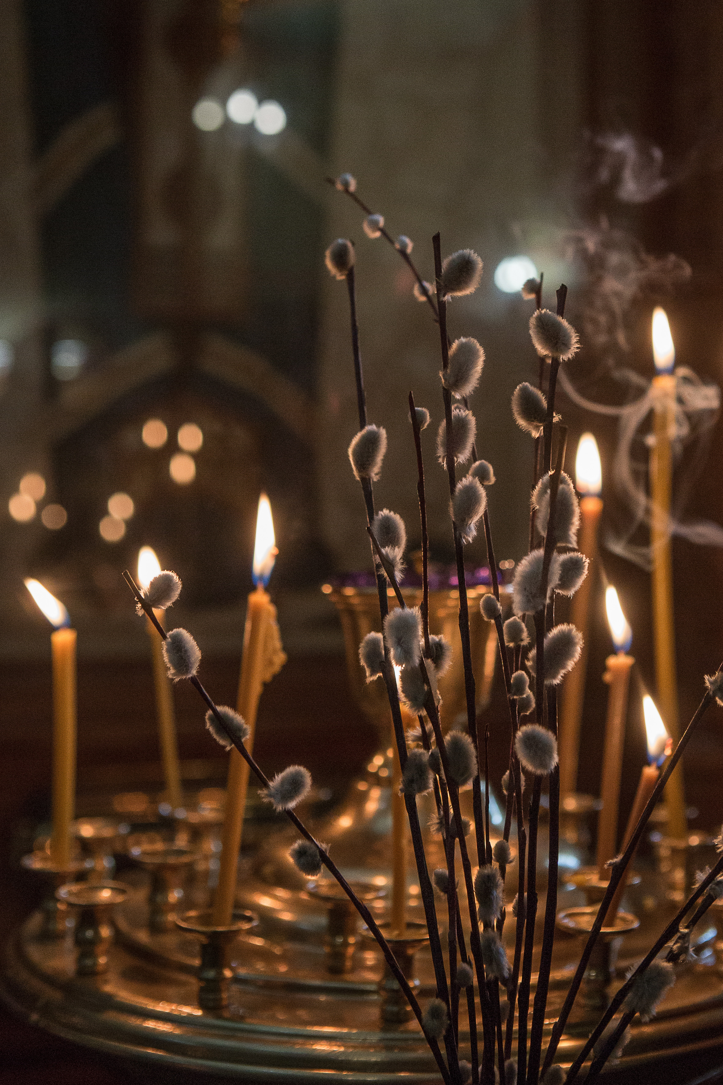 ПРАЗДНИК ВХОДА ГОСПОДНЯ В ИЕРУСАЛИМ храм свт. Луки Крымского. Фотограф на крестины