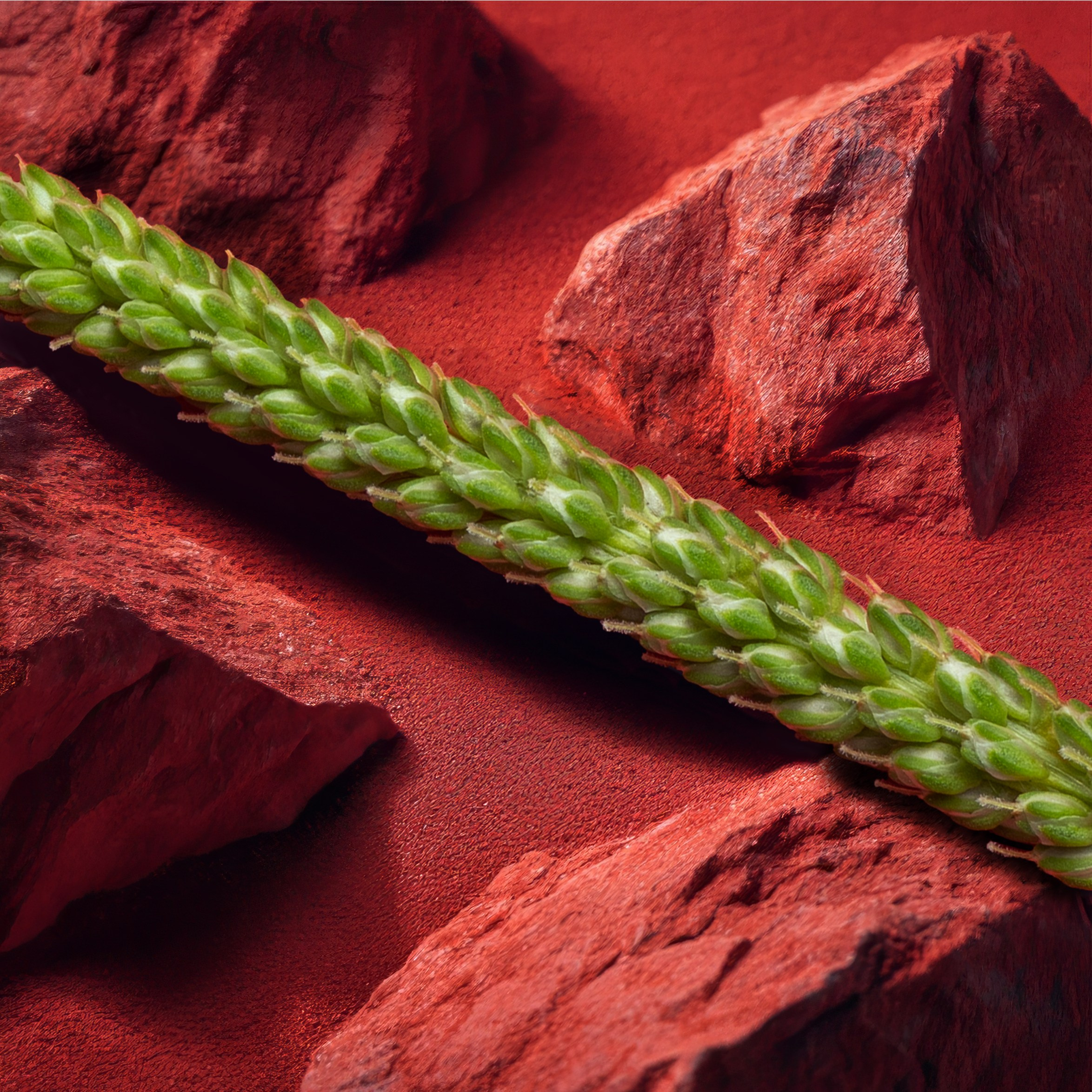 Кубики. Alena Ivochkina — conceptual photographer