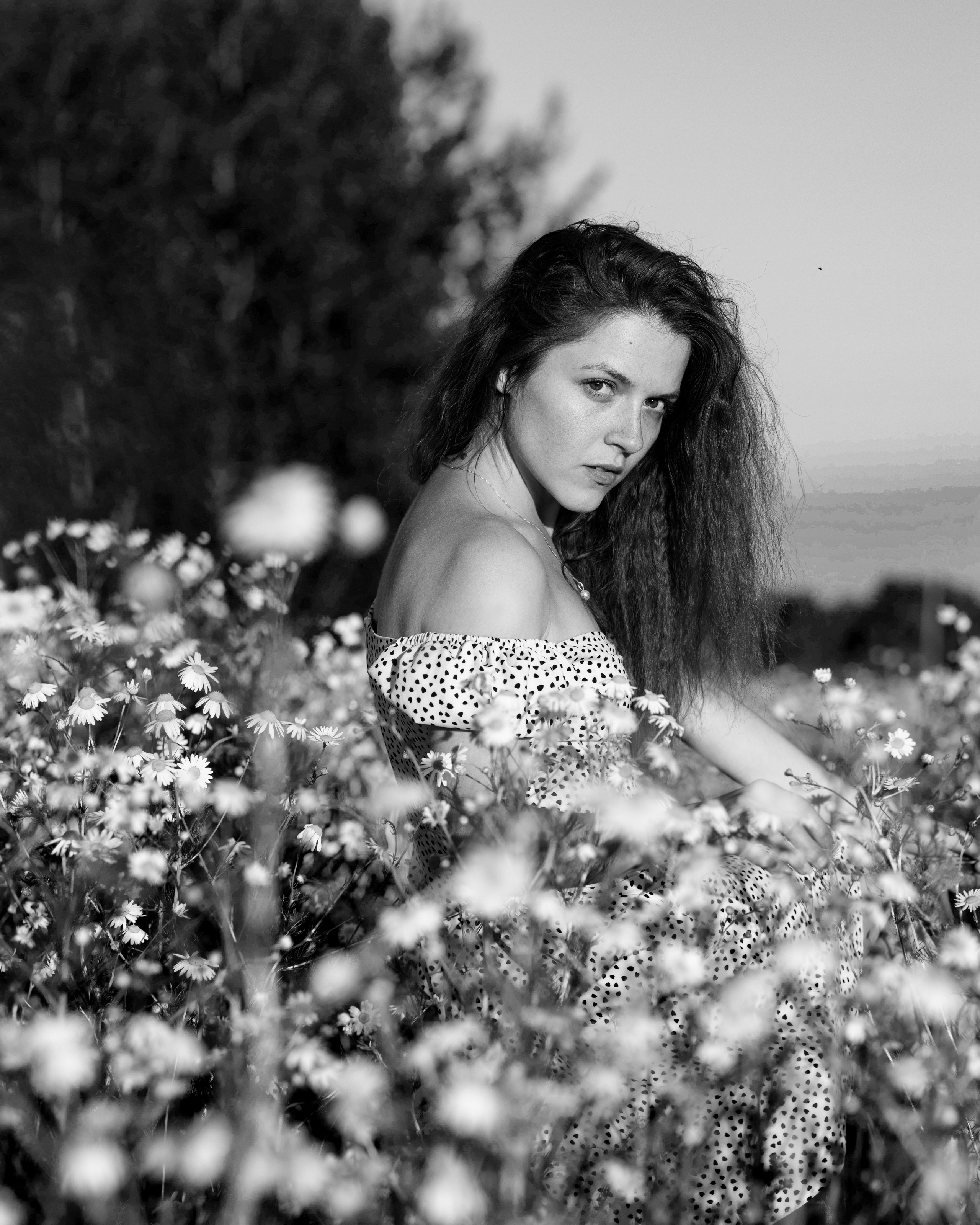 ЧБ ромашки. Портретный фотограф Екатерина Лысенко, Москва