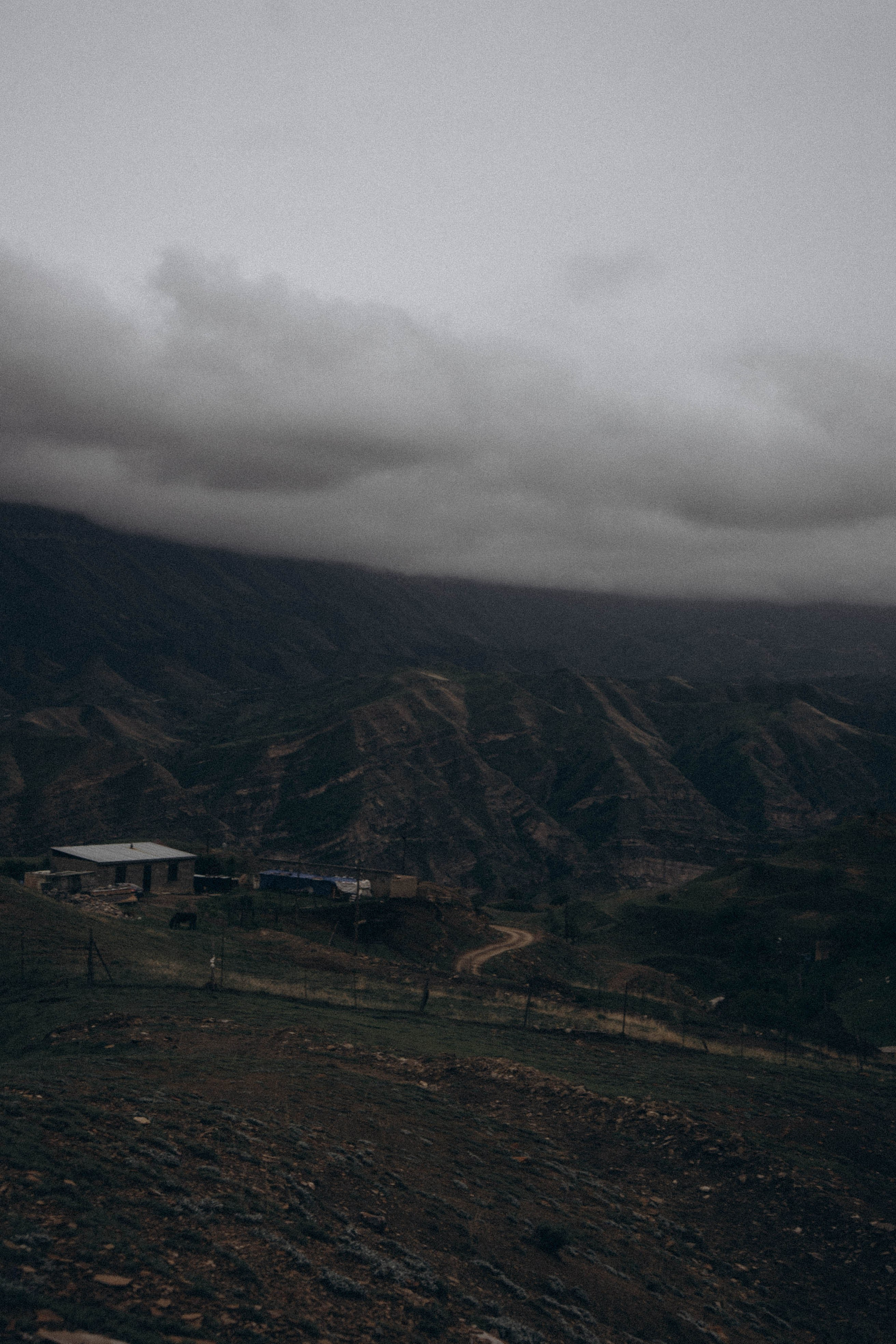 Кавказ. Профессиональный фотограф, Санкт-Петербург — Виктория Богомолова