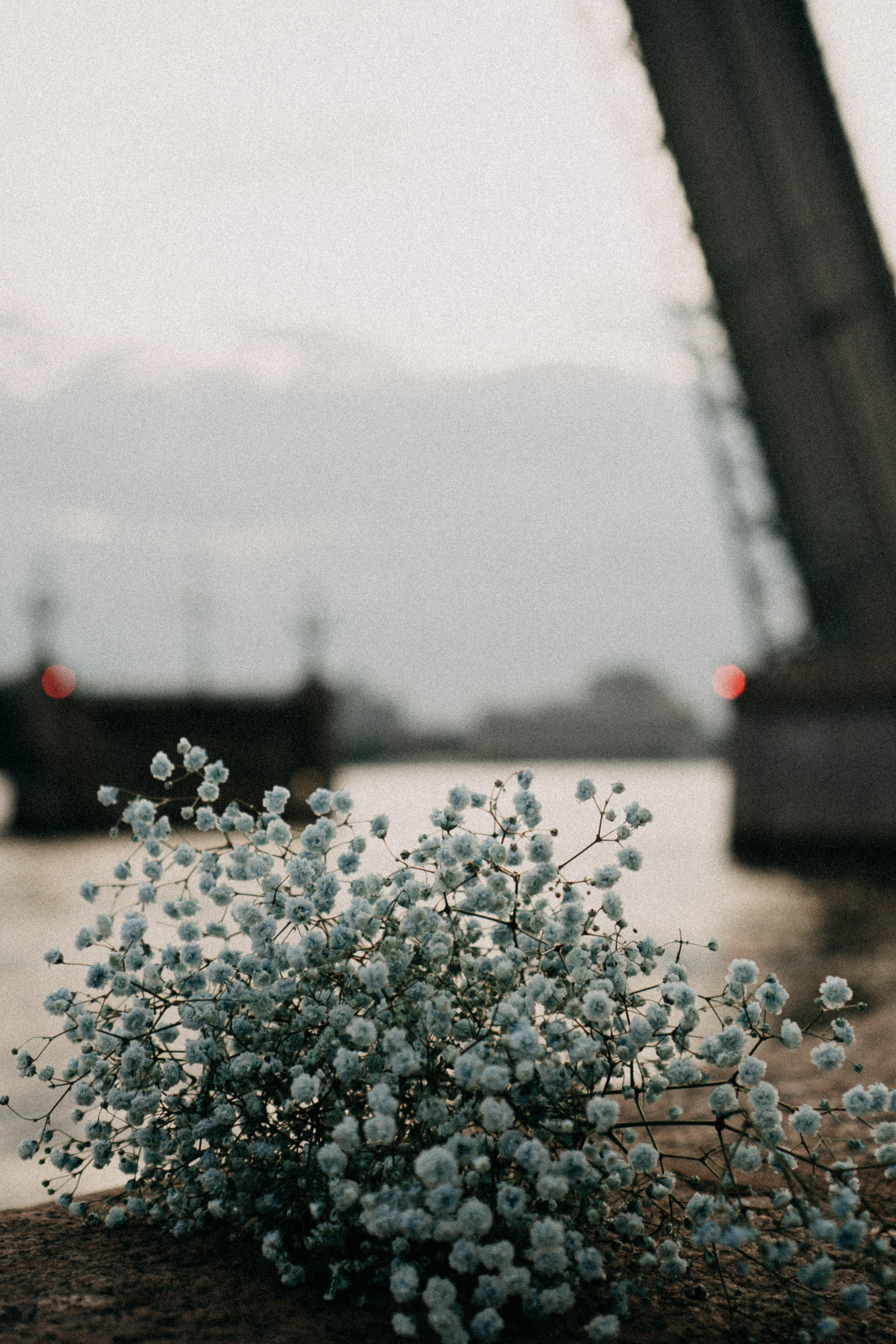 Рассветная. Профессиональный фотограф, Санкт-Петербург — Виктория Богомолова