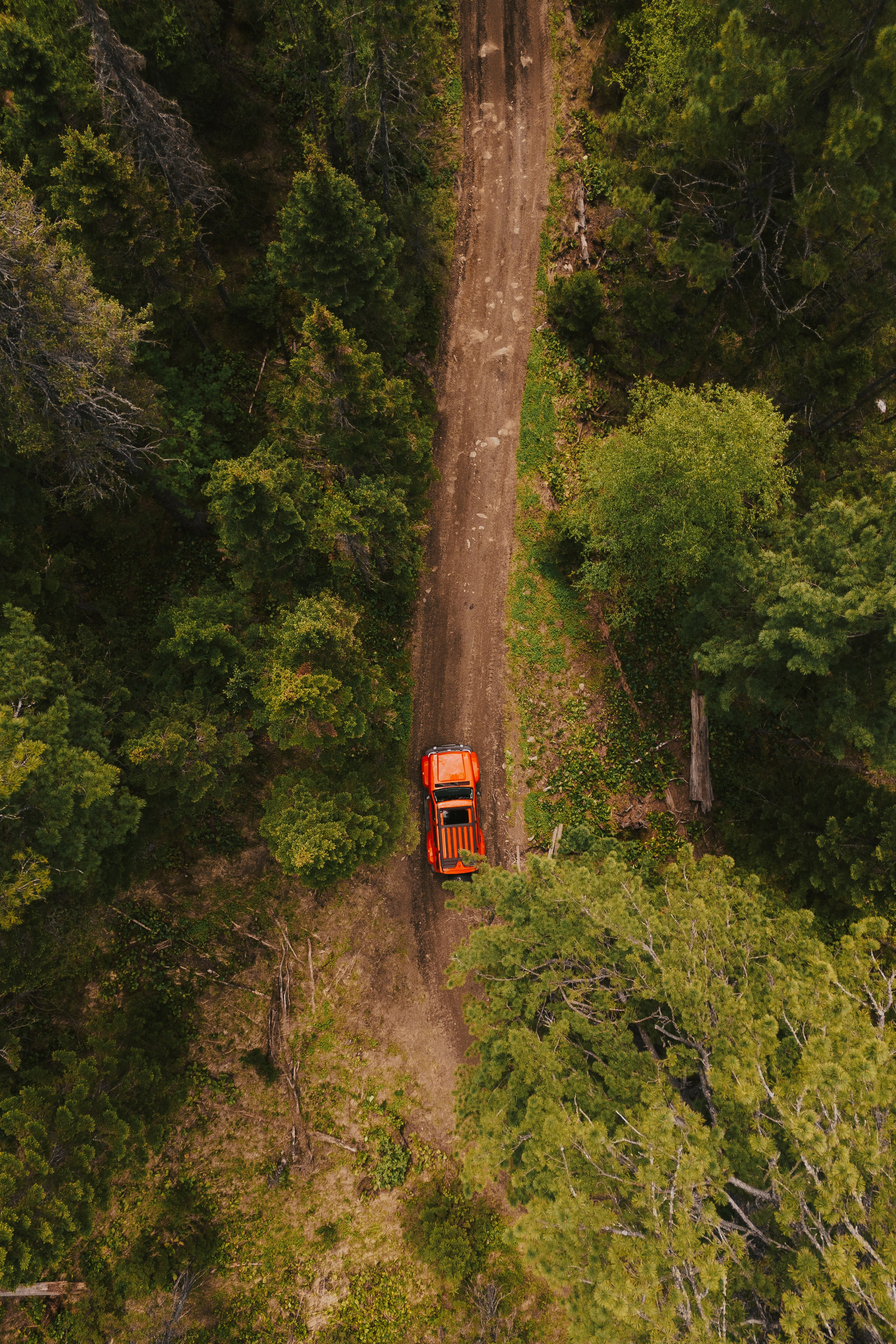 Пилот, фотограф и оператор Баркалова Светлана