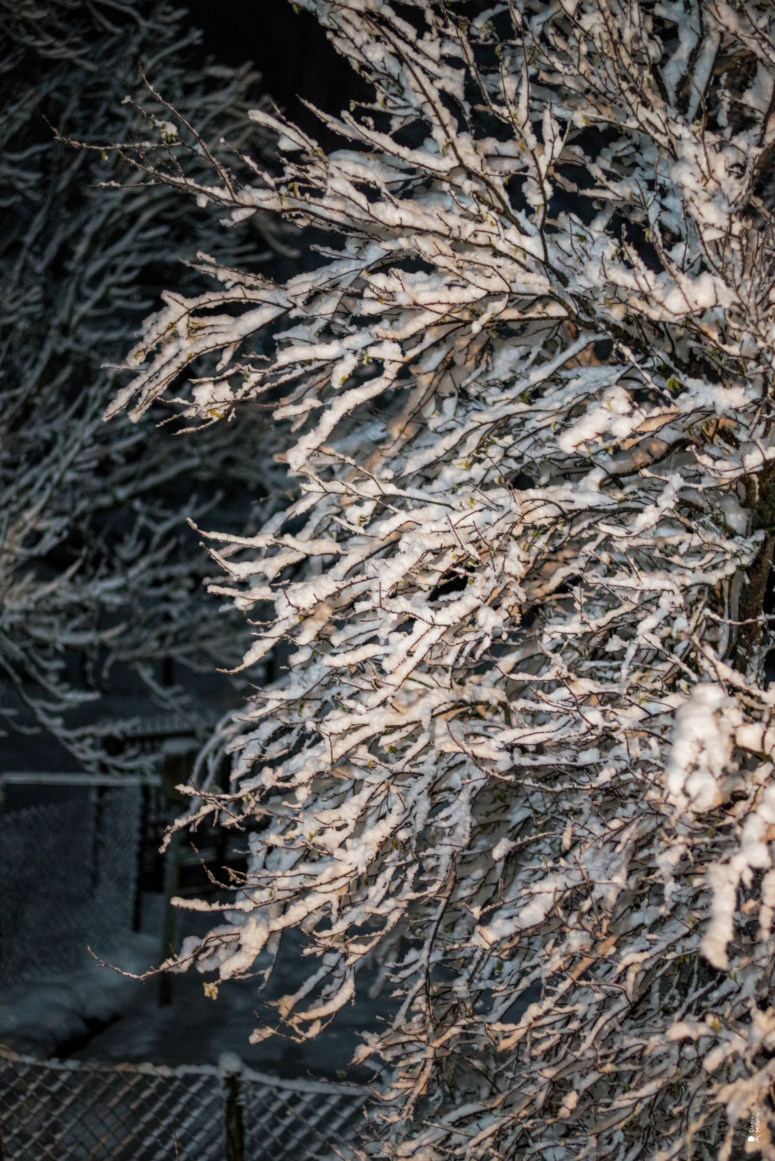 Ночь в Менджи. Портретный фотограф Денис Милютин