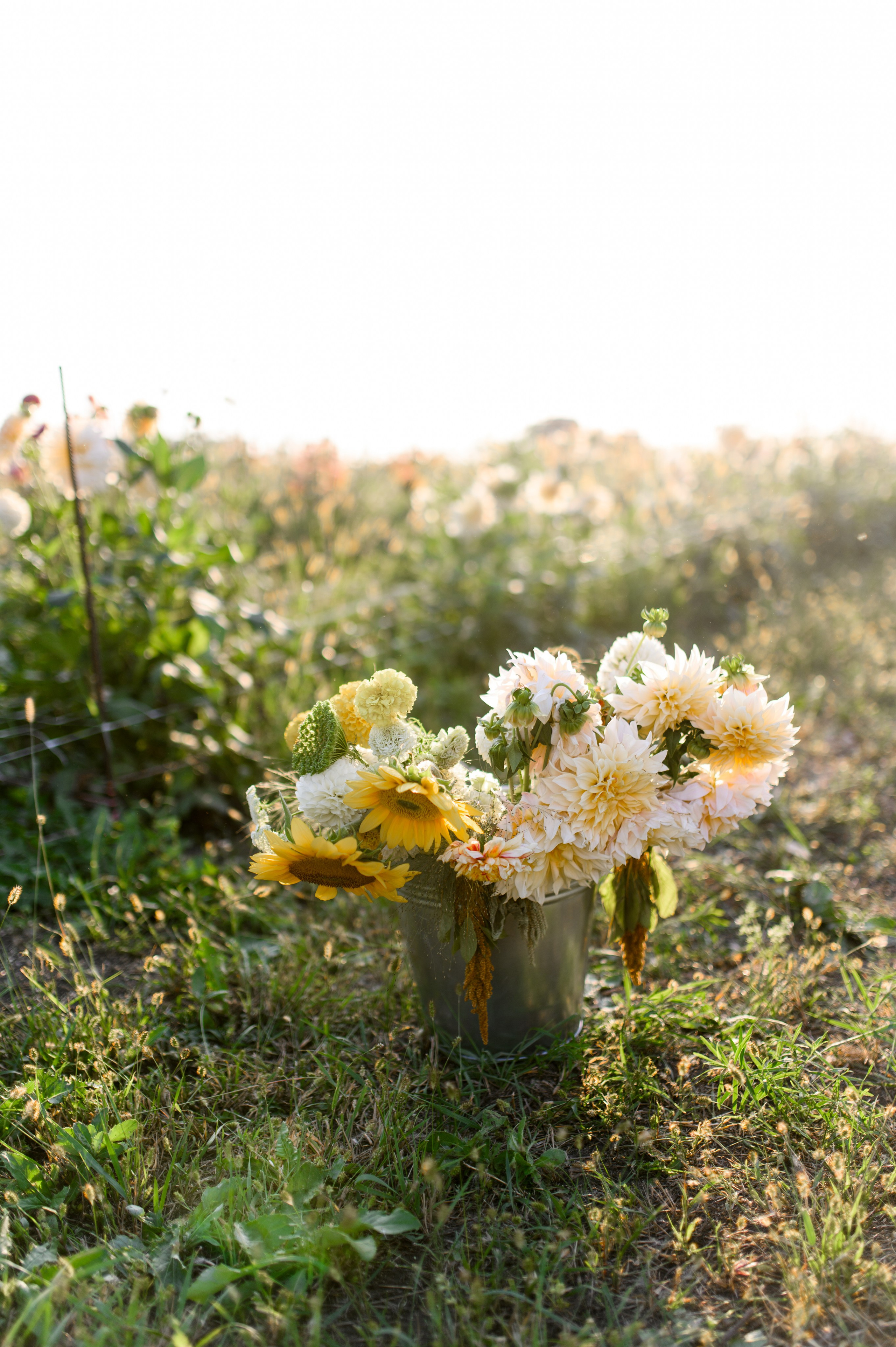 Лето на ферме. Свадебный и портретный фотограф в Санкт-Петербурге Ирина Келина