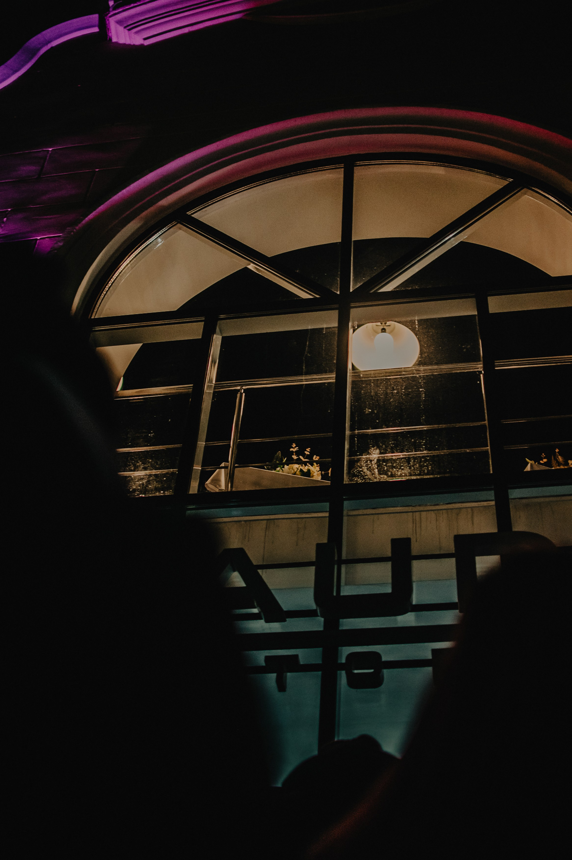 Дельфин | Gaudi. Контент фотограф Илья Урс