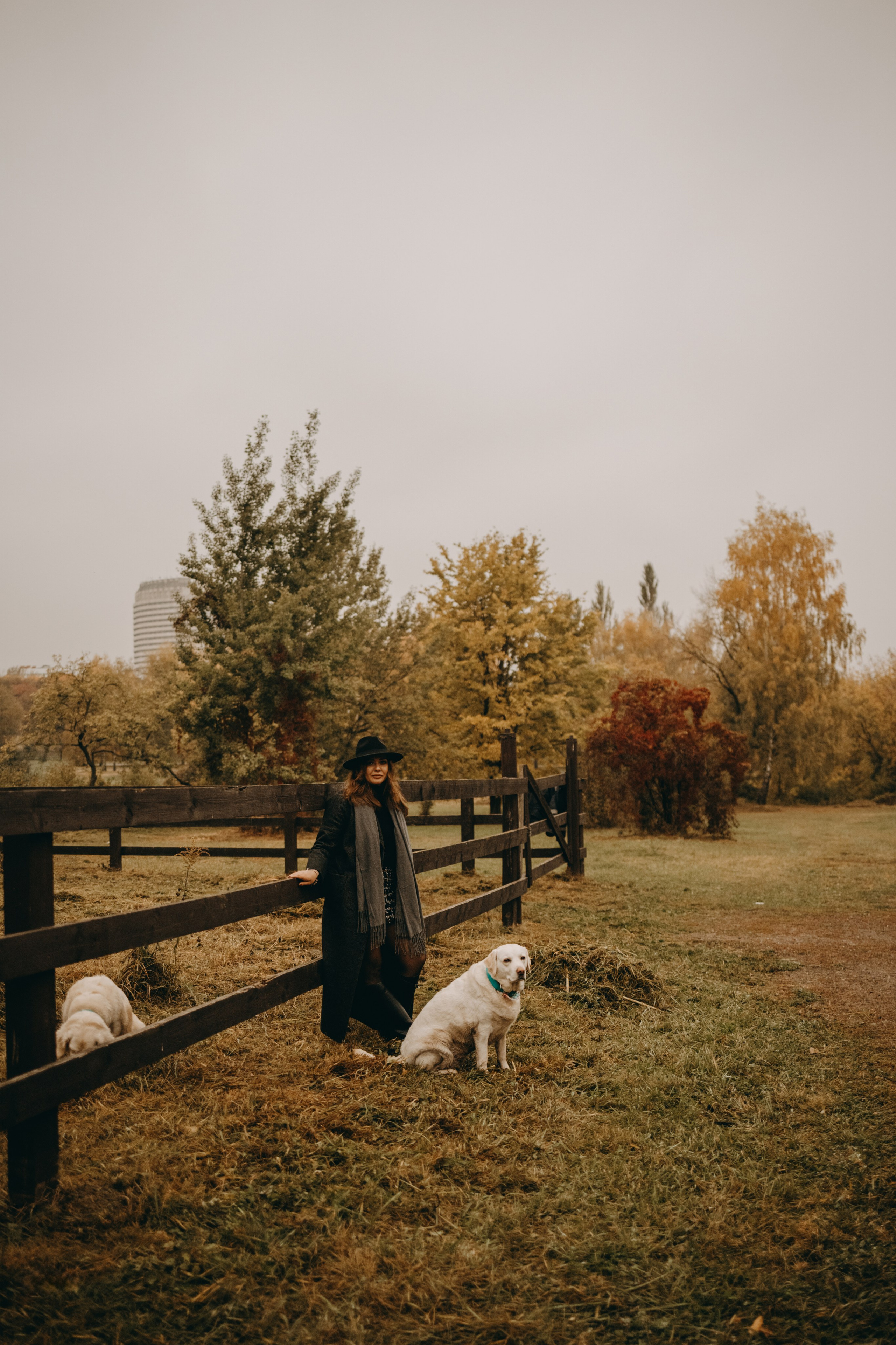 Женя и ее девочки. Фотограф — Анималист | Санкт-Петербург