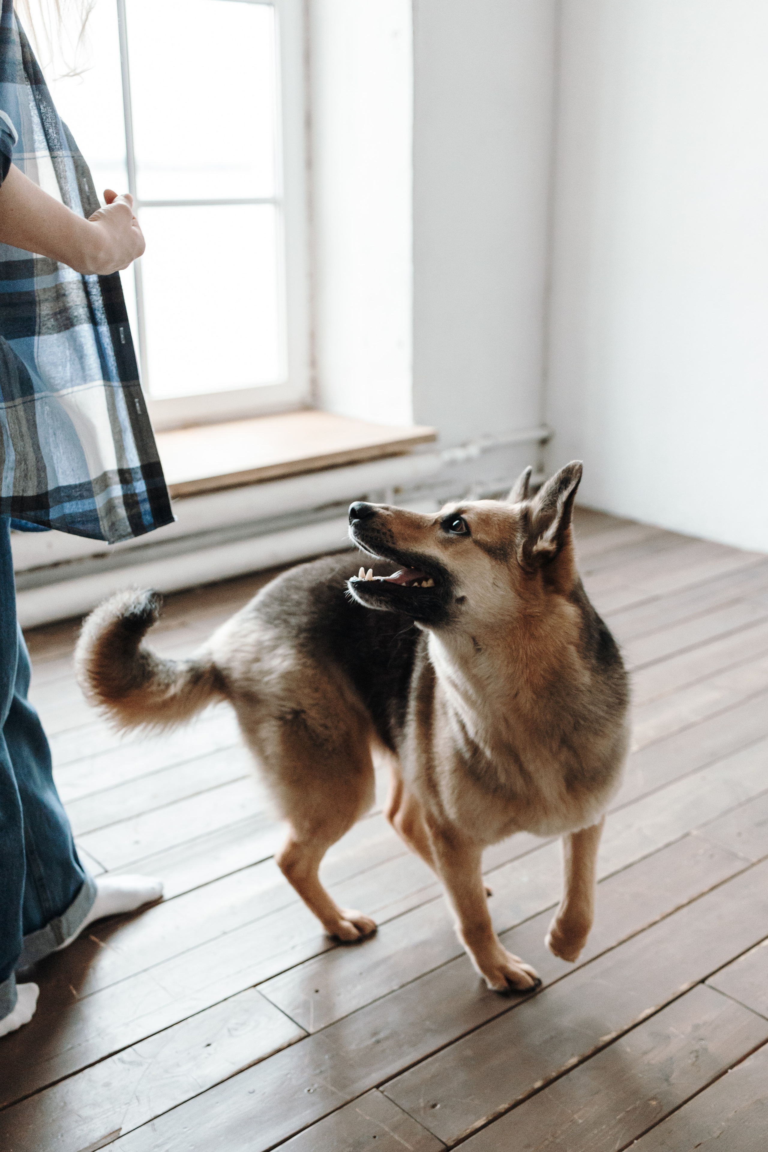 Лена и Дёма. Фотограф — Анималист | Санкт-Петербург