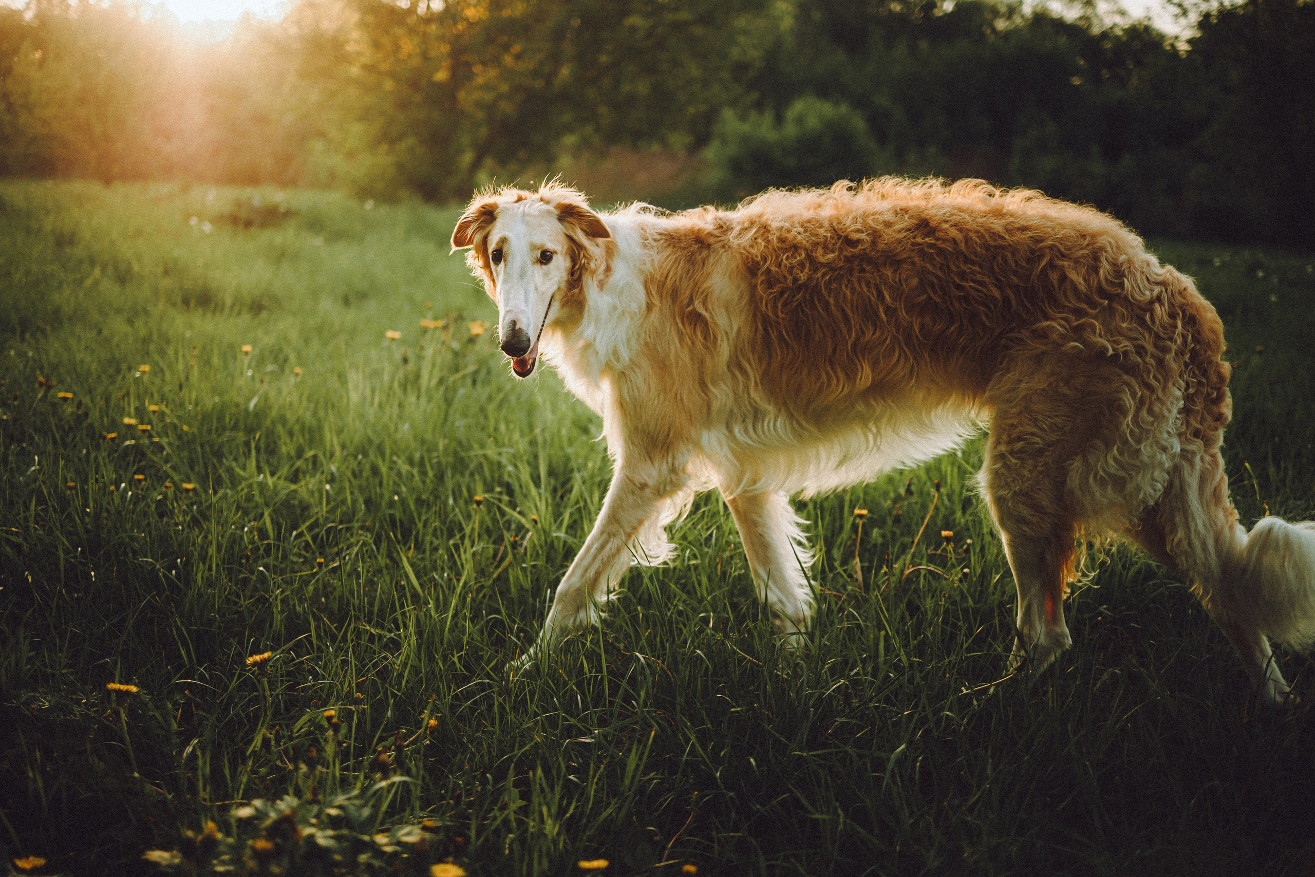 Илай, Зайка и их семья