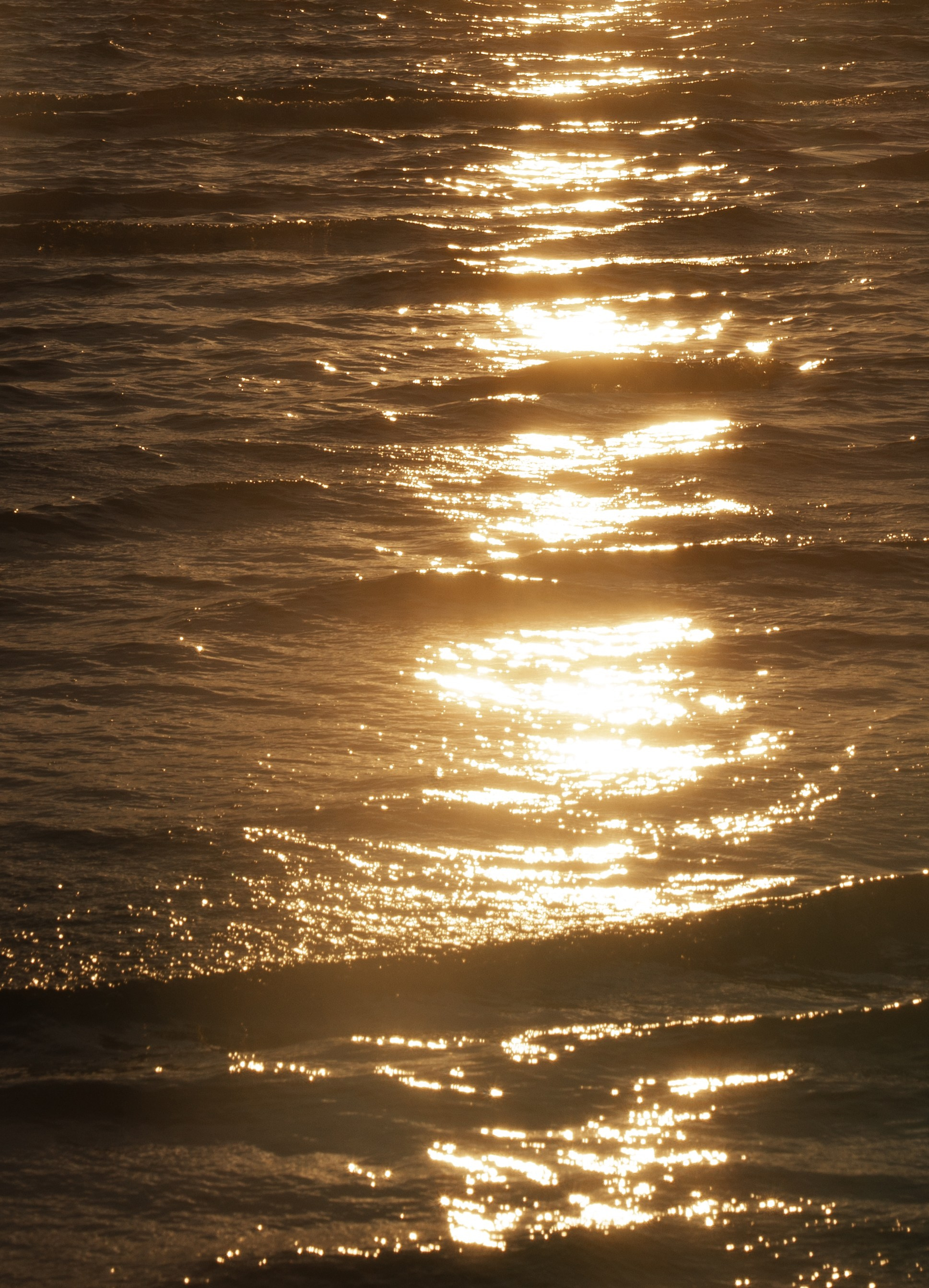 My light. Свадебный фотограф Наташа Брифли