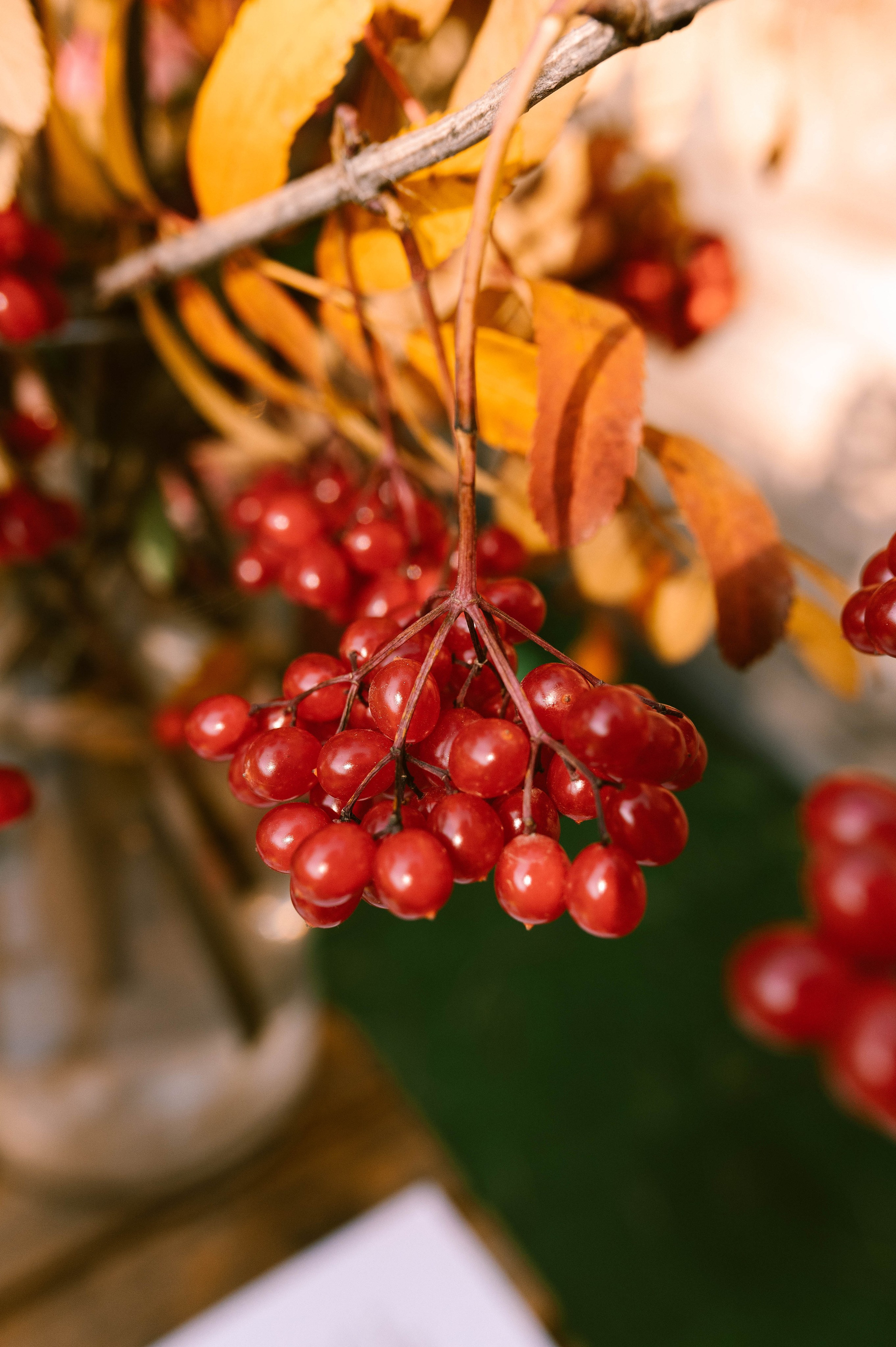 Кирилл и Юля. Свадебный и семейный фотограф в Чите Юлия Оранская