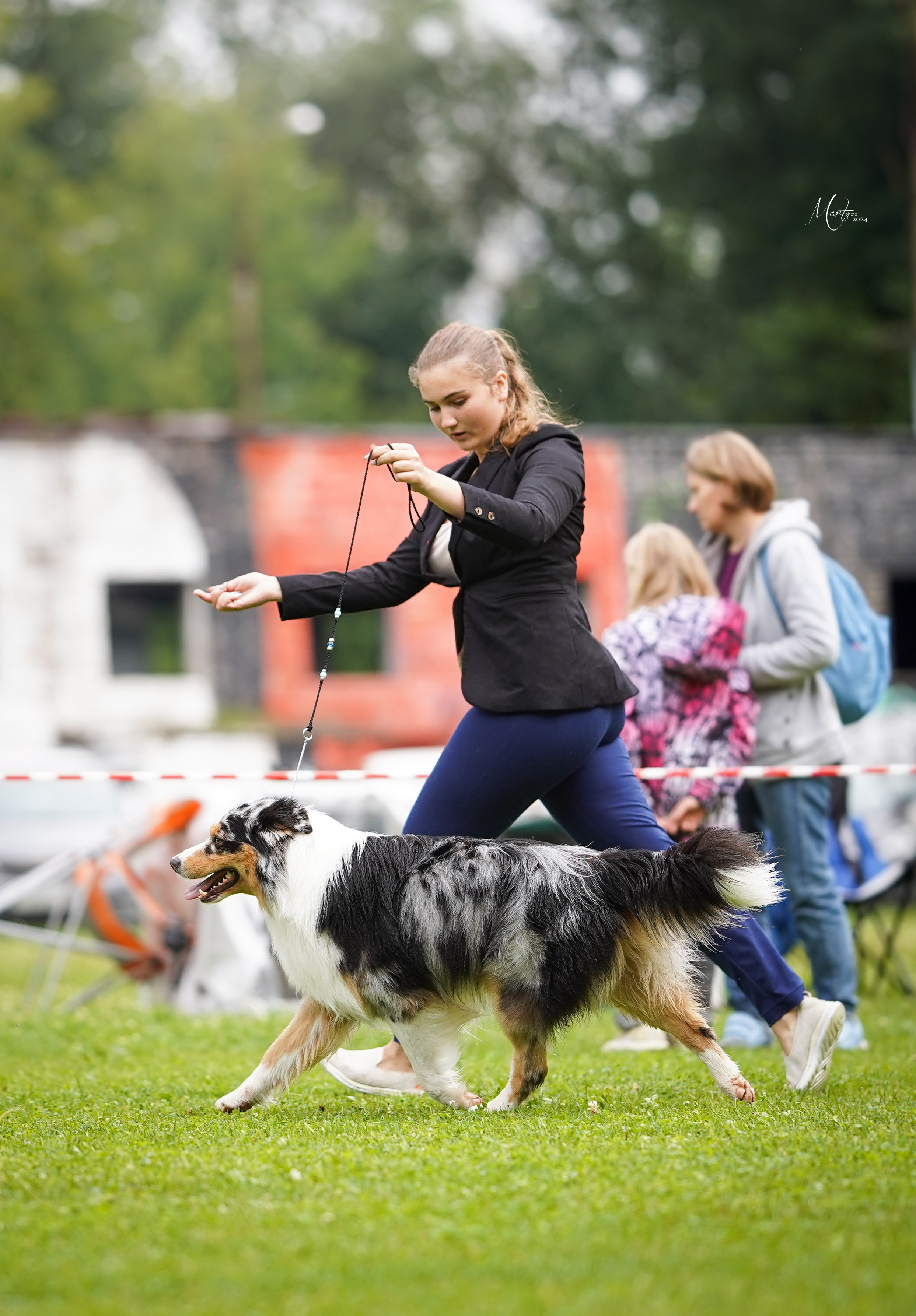 Выставки 2024. Фотограф-анималист в Санкт-Петербурге Яна Мартынова