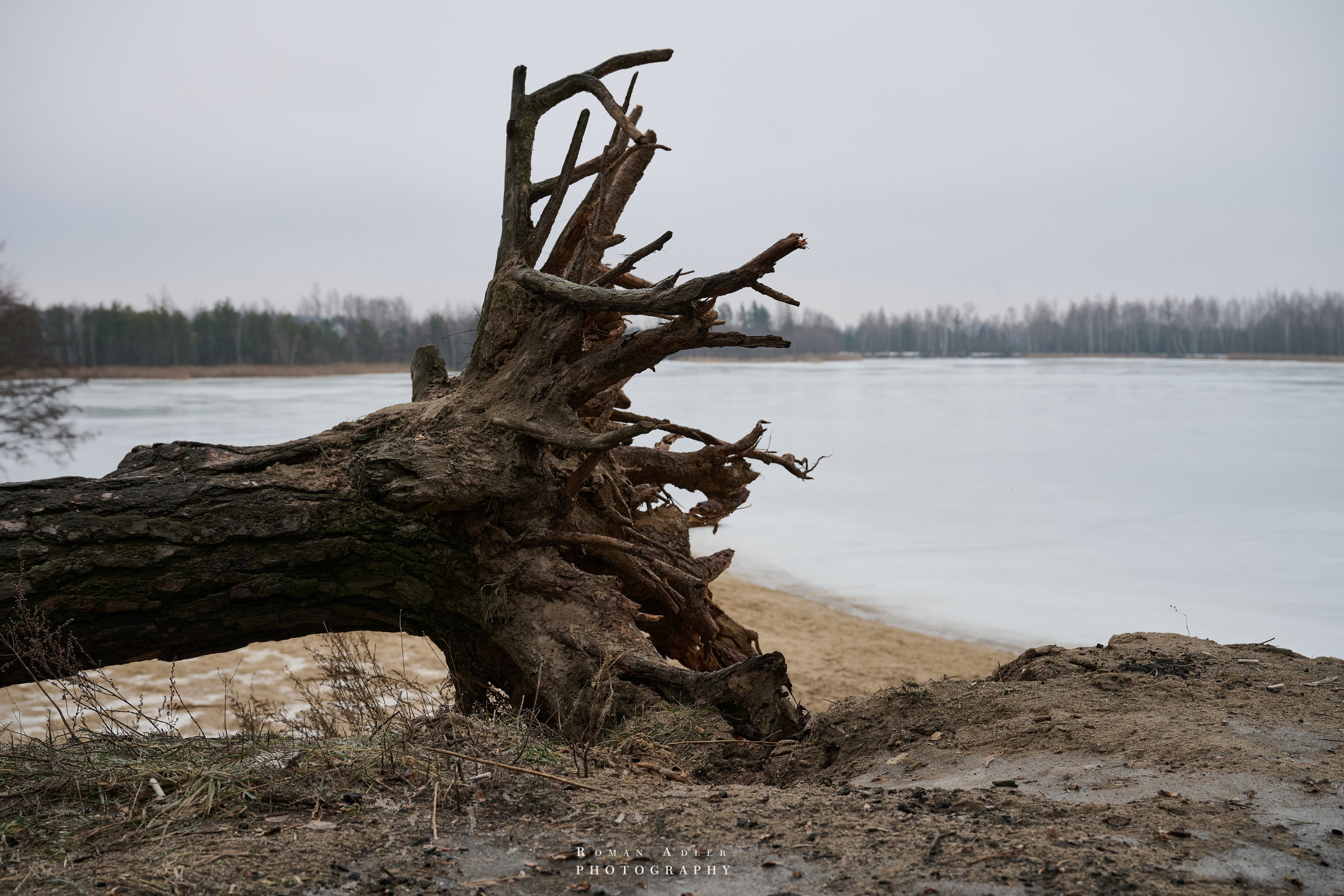 Место силы…. Фотограф Роман Адлер