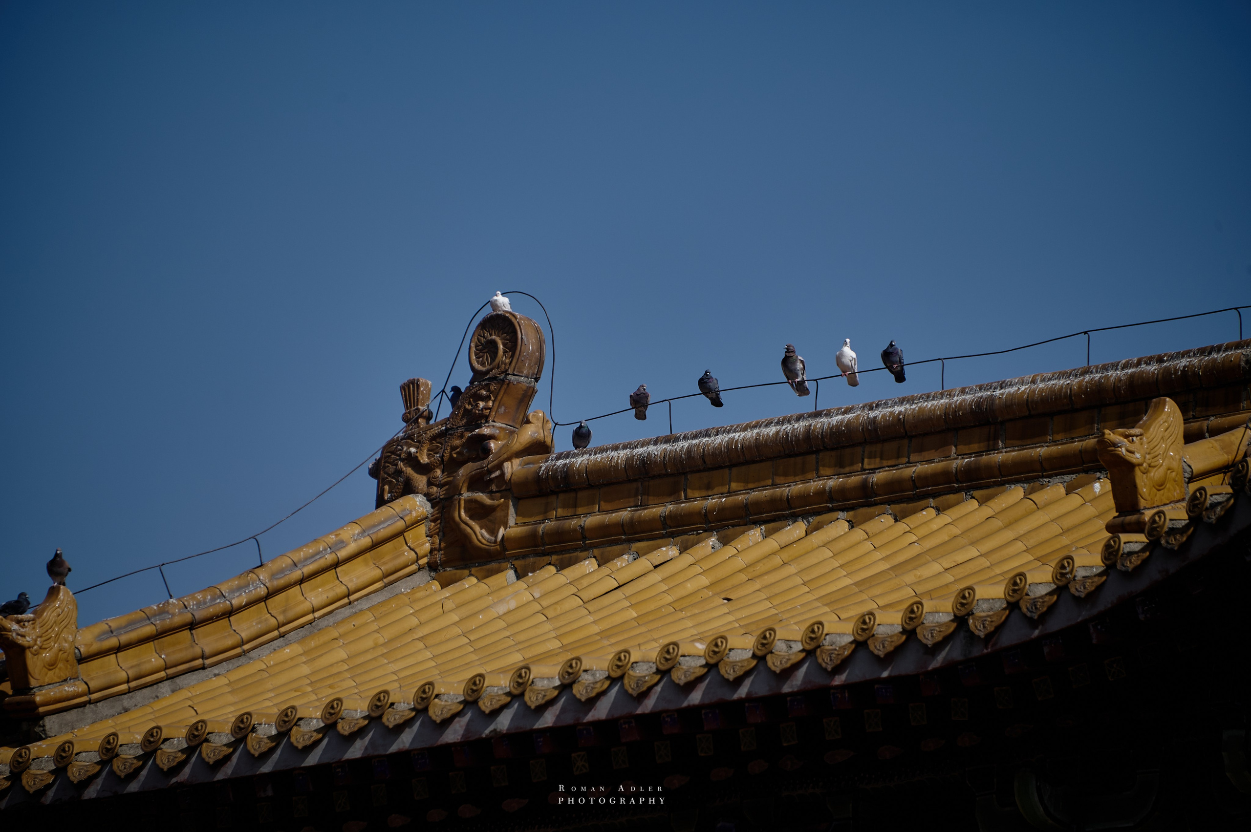 Храм Гуанфу (Процветания). Цинчжоу. Фотограф Роман Адлер