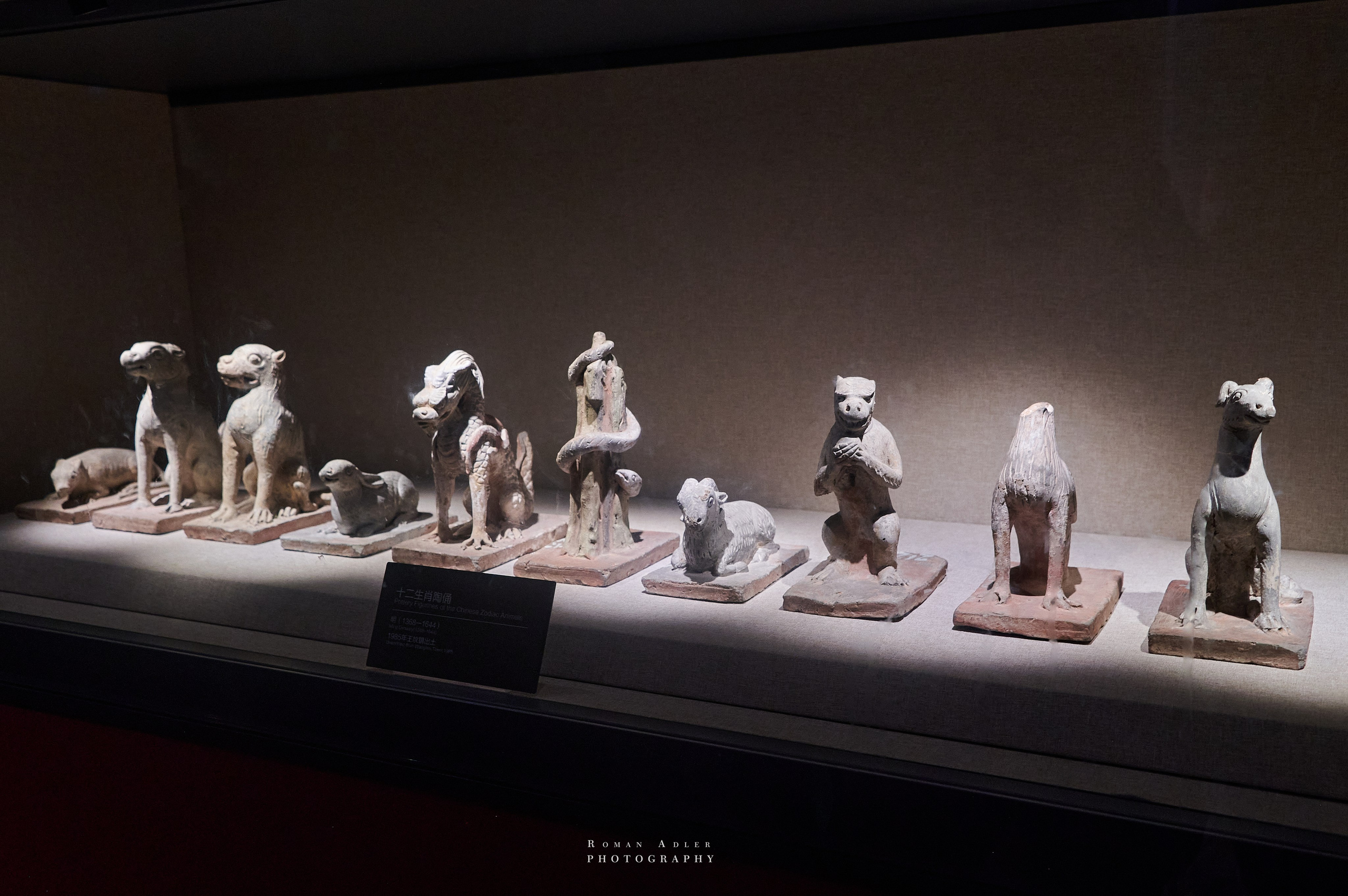 Национальный краеведческий музей Цинчжоу. Фотограф Роман Адлер