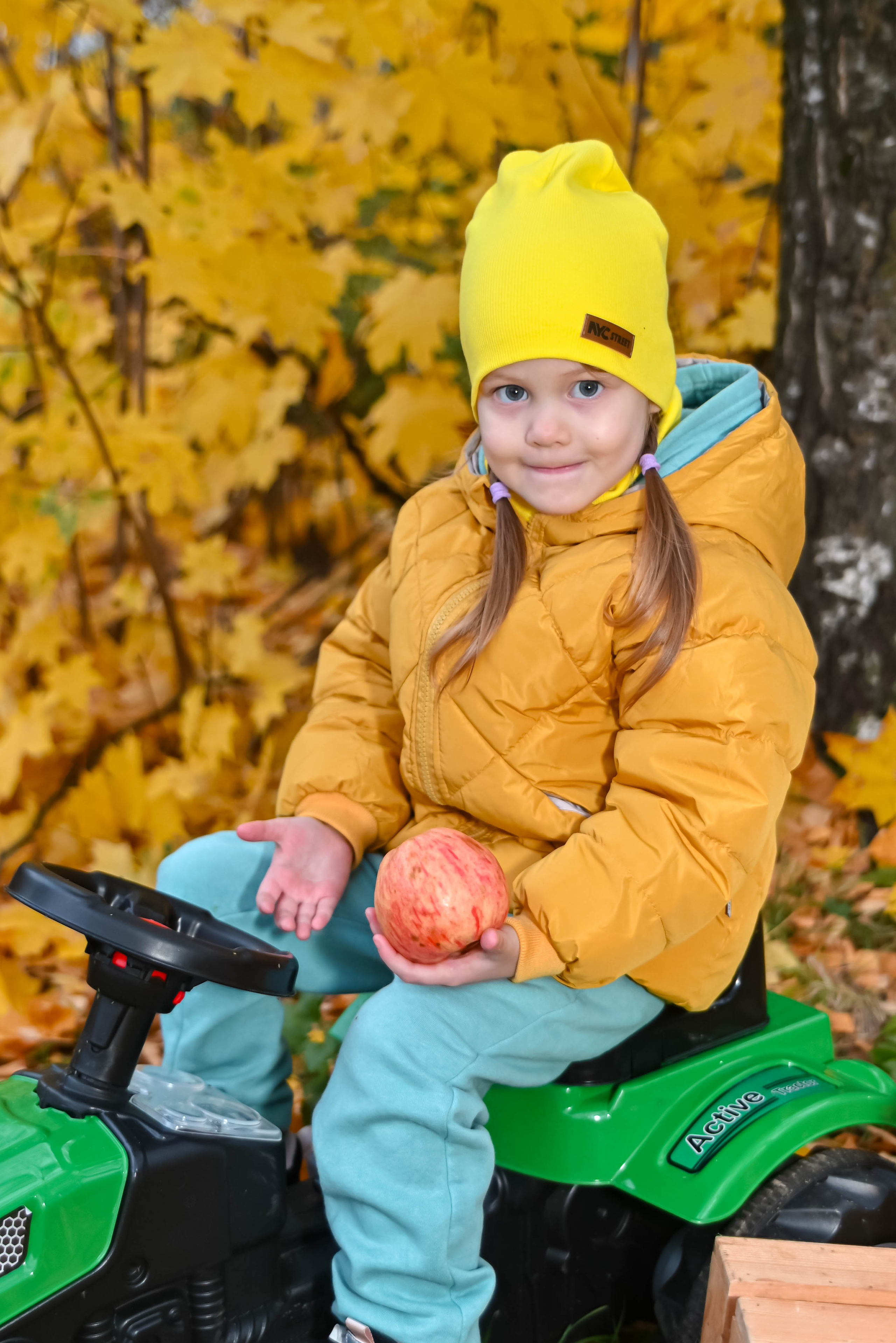 Золотая осень. Выпускные альбомы для детских садов Санкт-Петербург