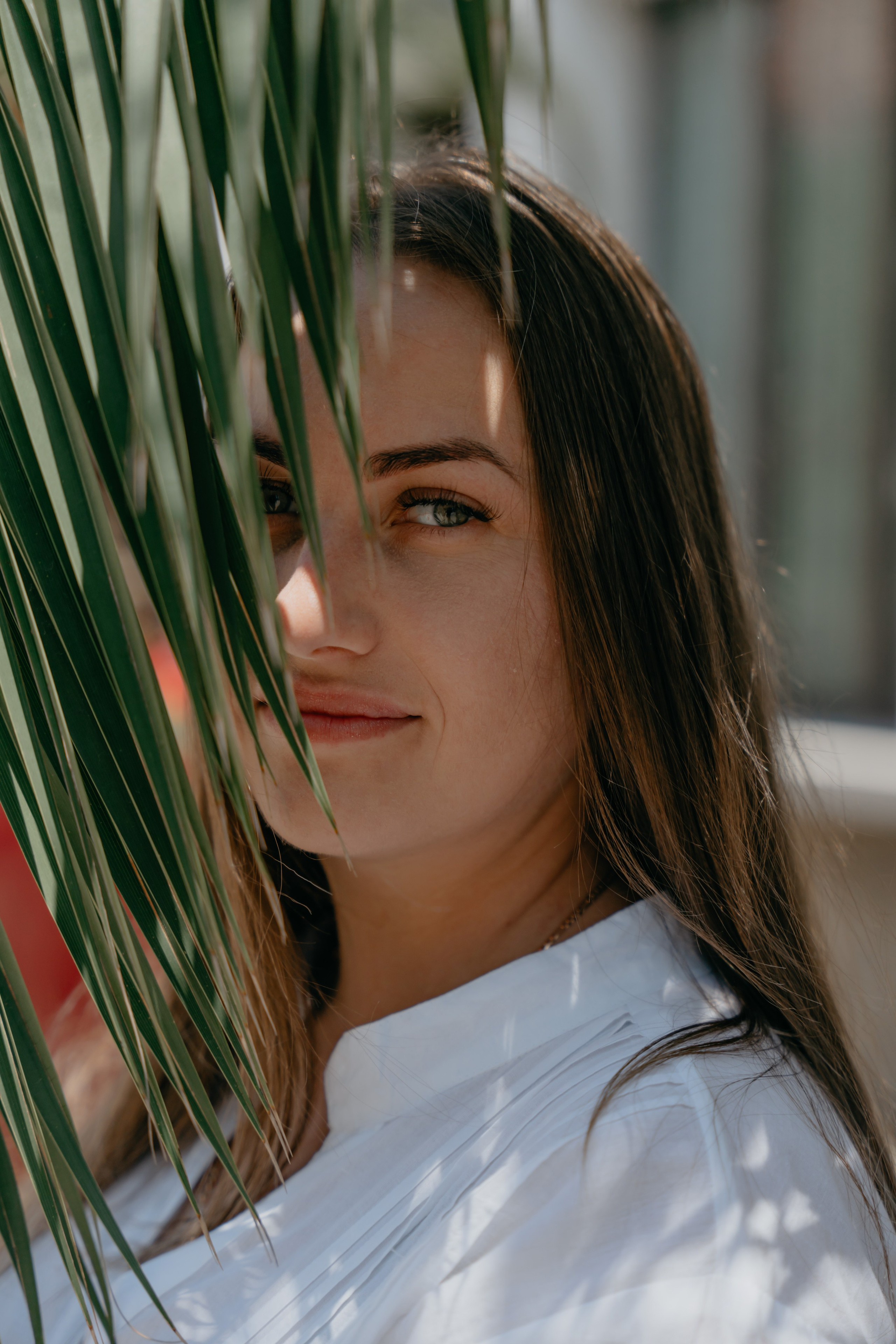 Увози за сто морей