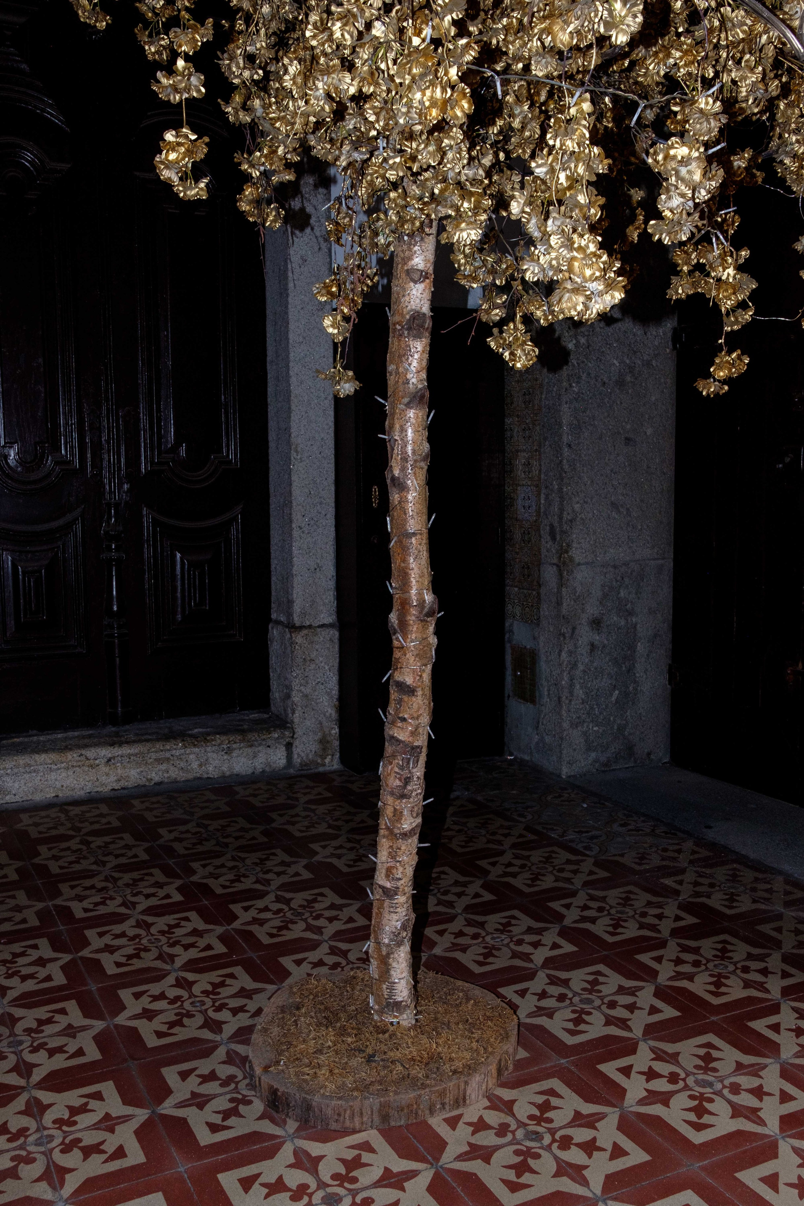 Simple. Photos. Photographer, Documentary and Art