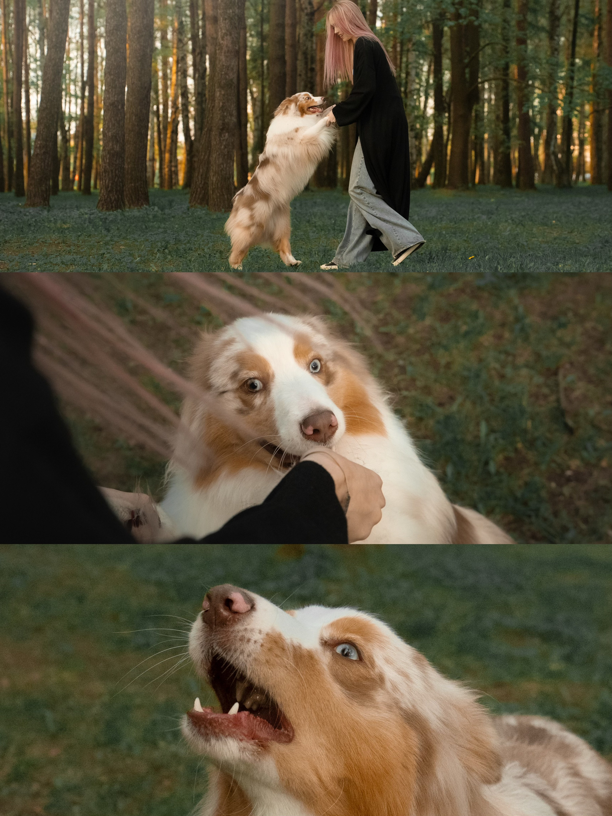 Света, Катрин, Умка. Фотограф анималист в Москве и Санкт-Петербурге Свиридова Анна
