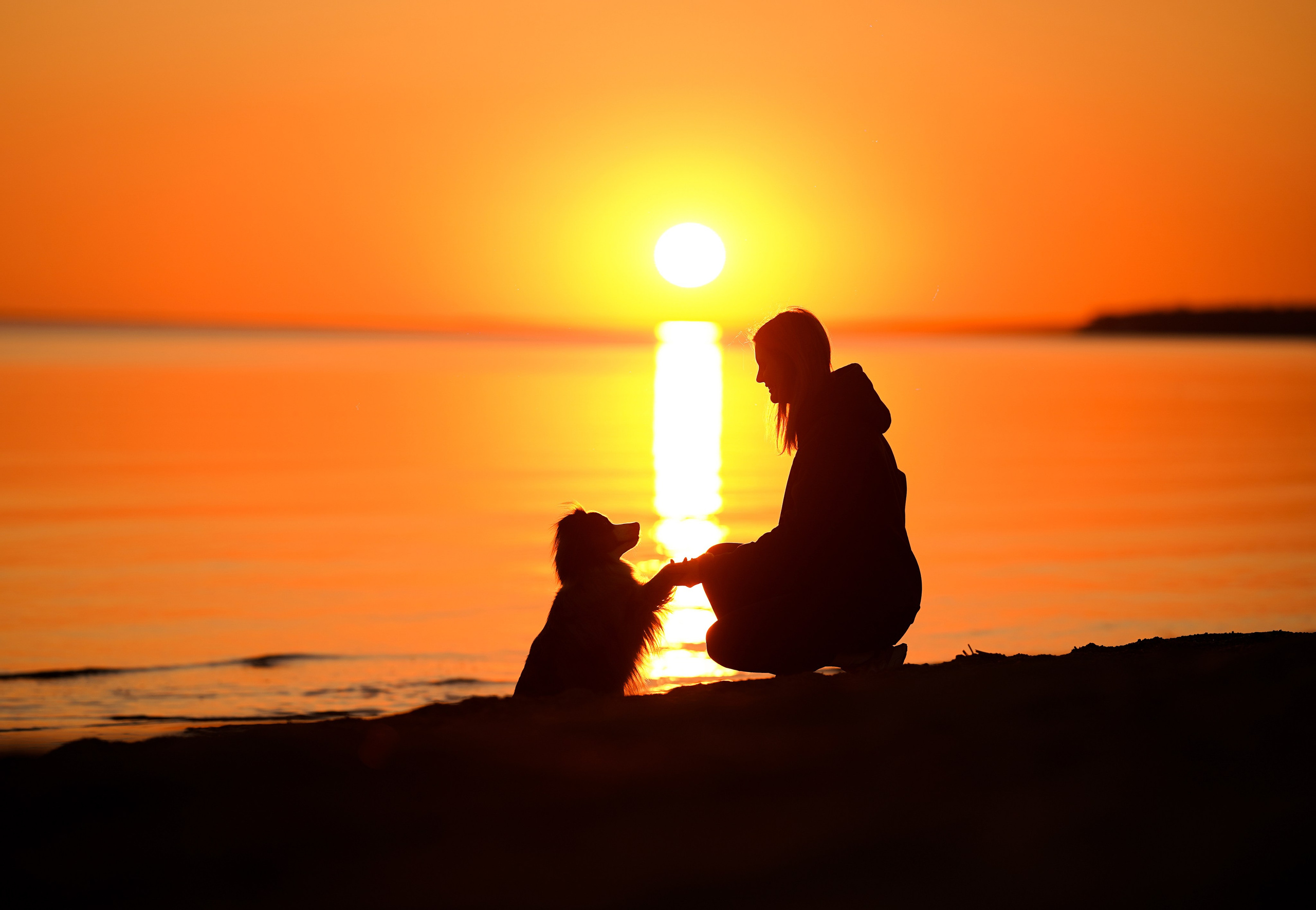 Алиса и Джокер. Фотограф-анималист в Санкт-Петербурге Яна Мартынова