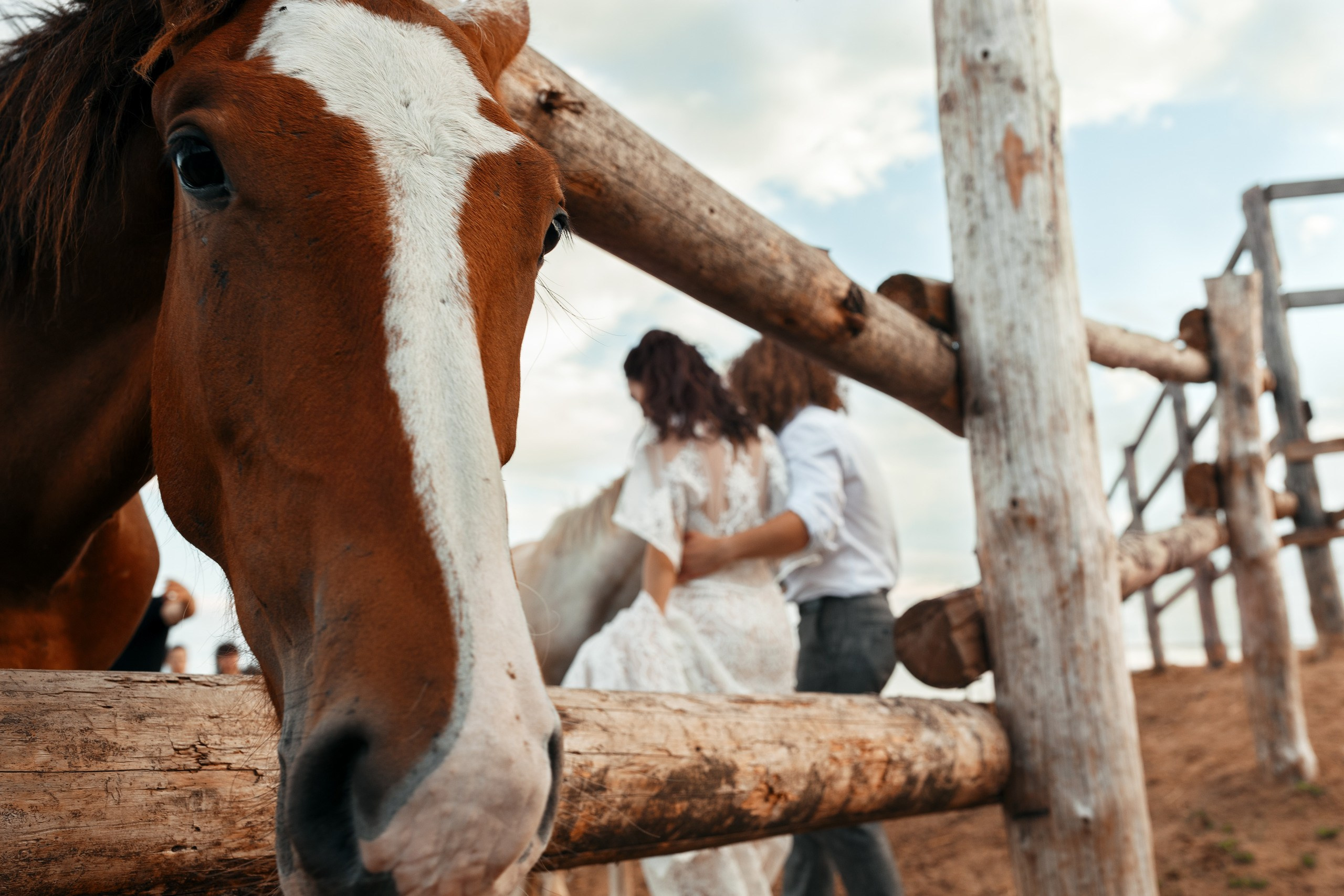 Свадебная фотосессия на природе