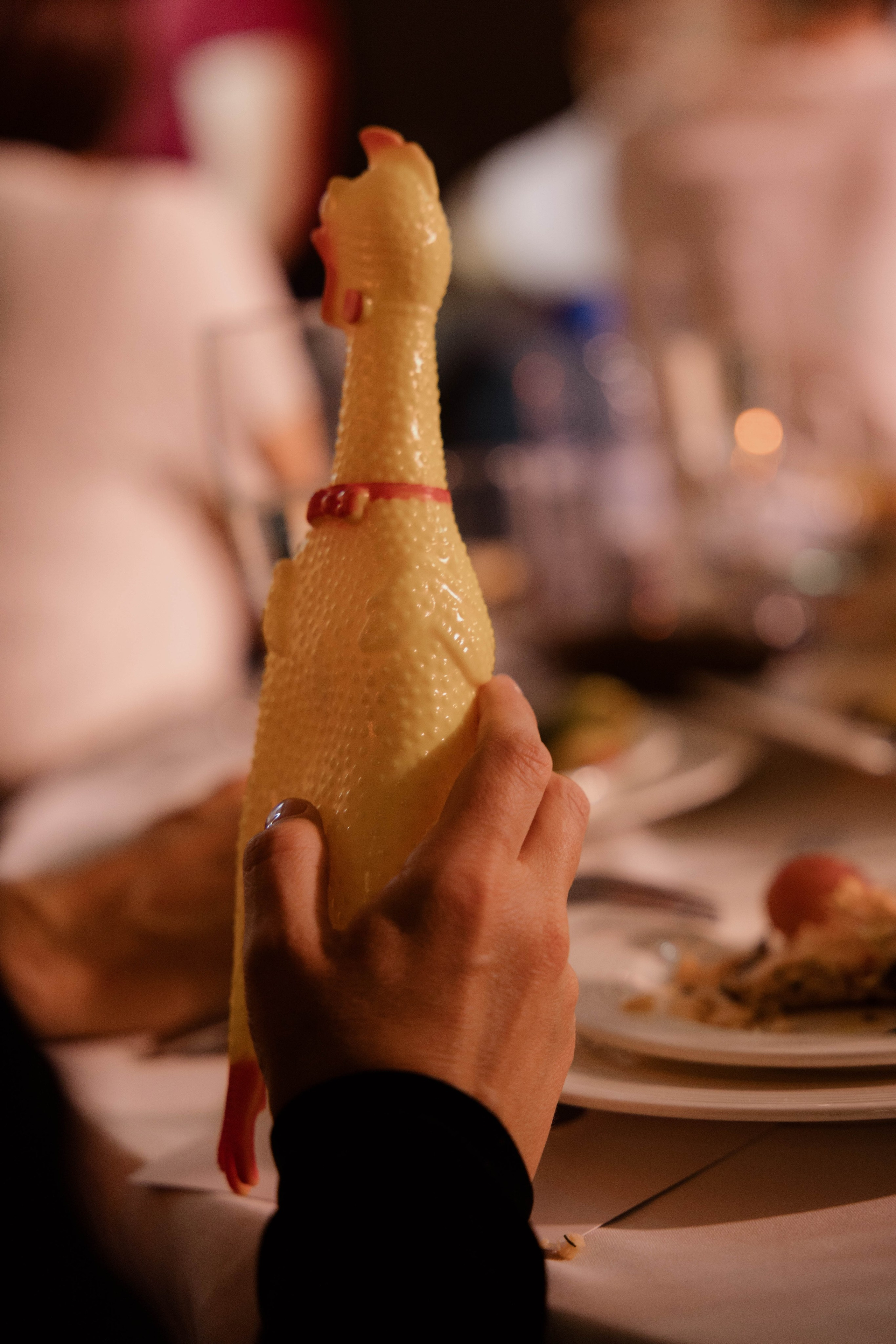 Конференция и ужи. Кормовит. Роза хутор. Фотограф Юсова Мария