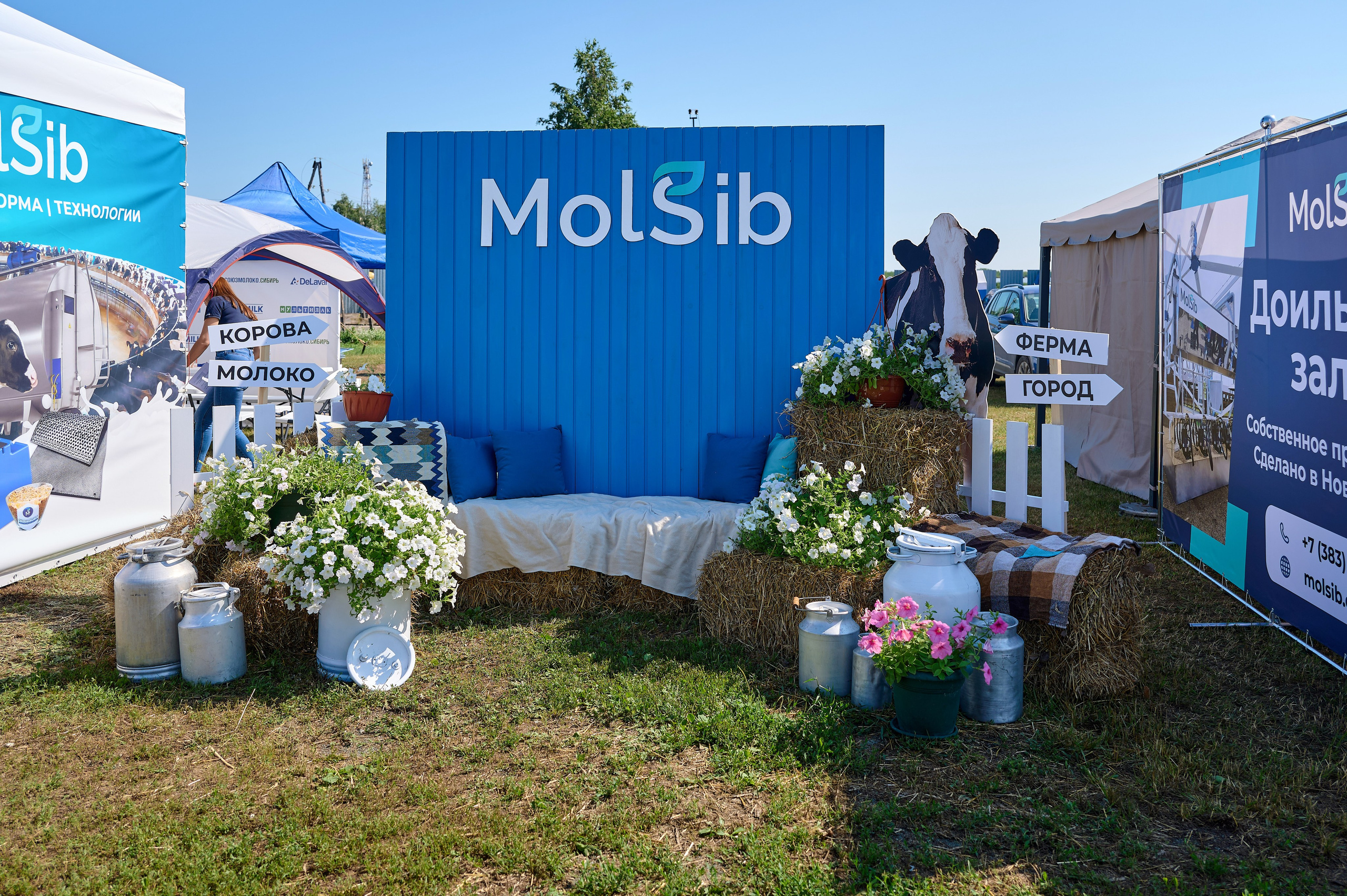 День поля. Фотограф Опыт Качество Скорость Горный Алтай Барнаул