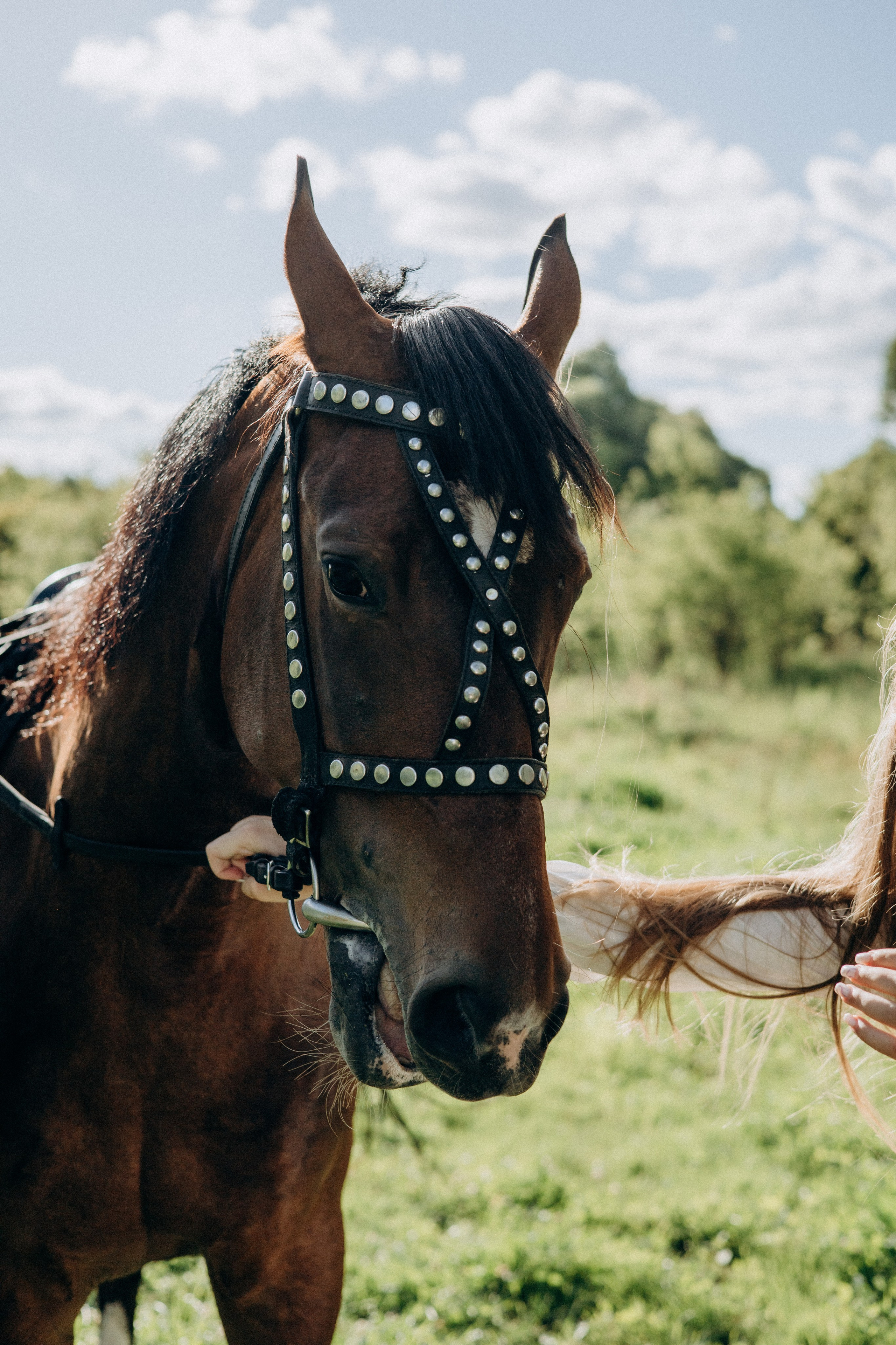 Лера и Лика. Портретный и семейный фотограф в Воронеже Ксения Ремизова