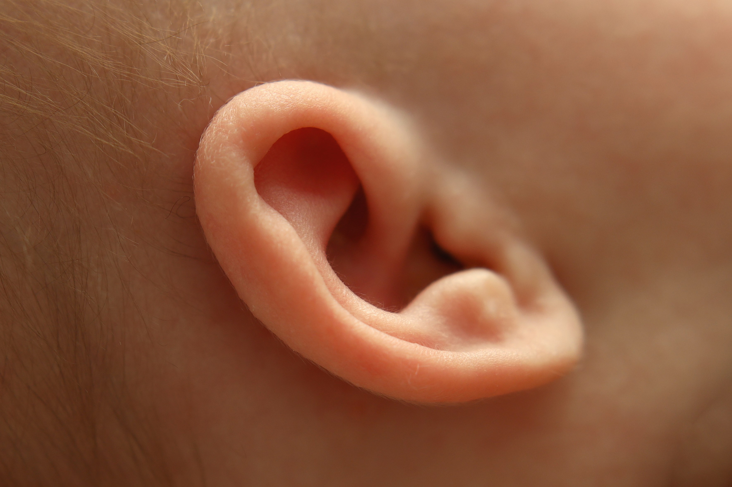 Макро. Главная